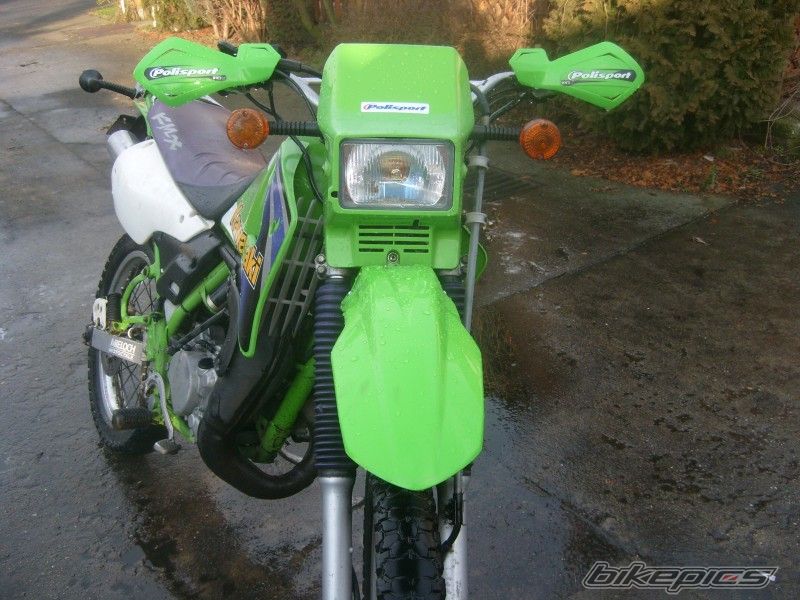 1999 KAWASAKI KMX 125 | Picture 2068185 motorcycle photo