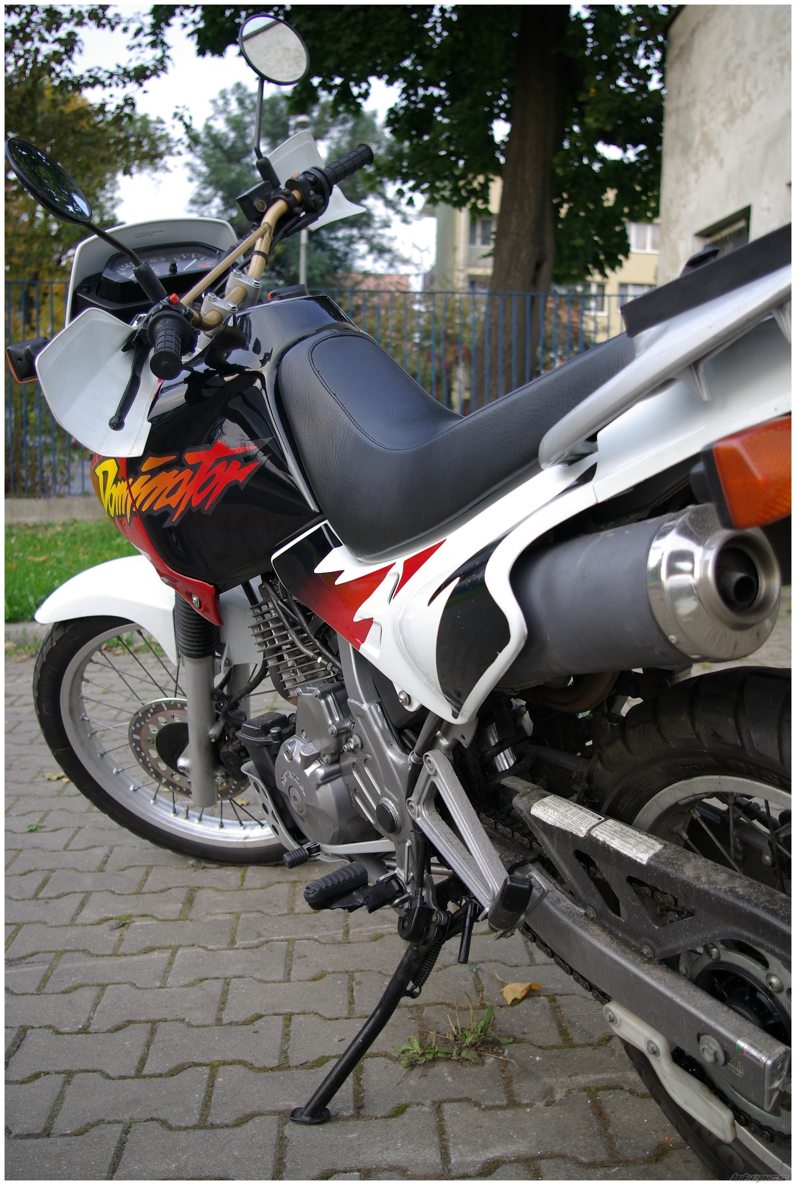 1998 HONDA NX 650 DOMINATOR | Picture 2068910 motorcycle photo