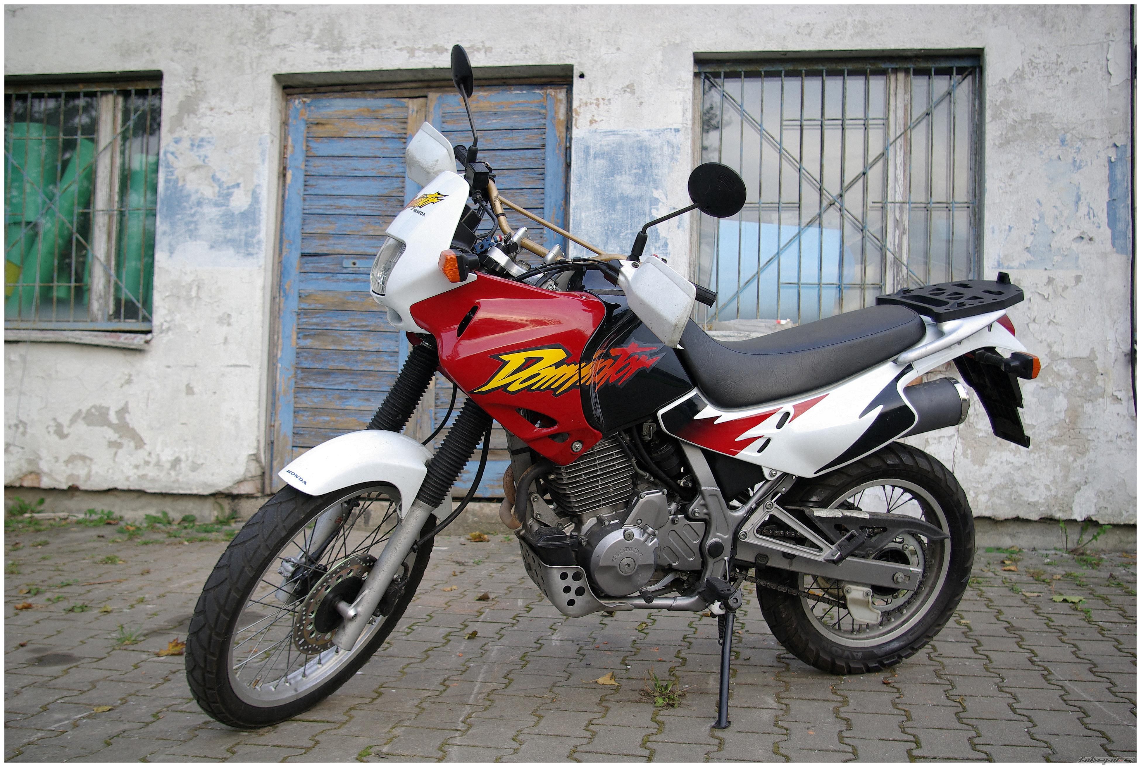 1998 HONDA NX 650 DOMINATOR | Picture 2068911 motorcycle photo