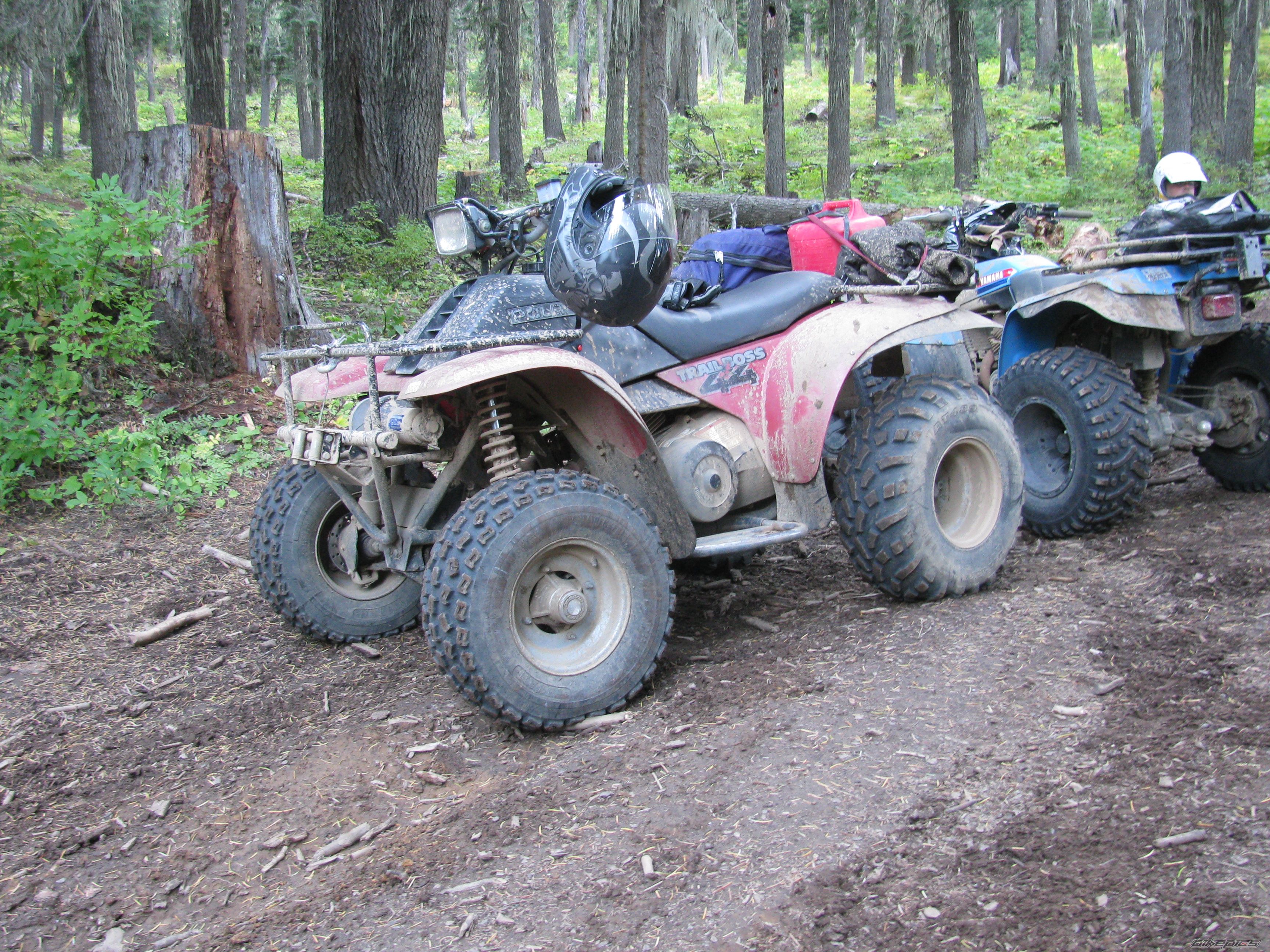 1987 POLARIS TRAIL BOSS 250 | Picture 2069720 motorcycle photo