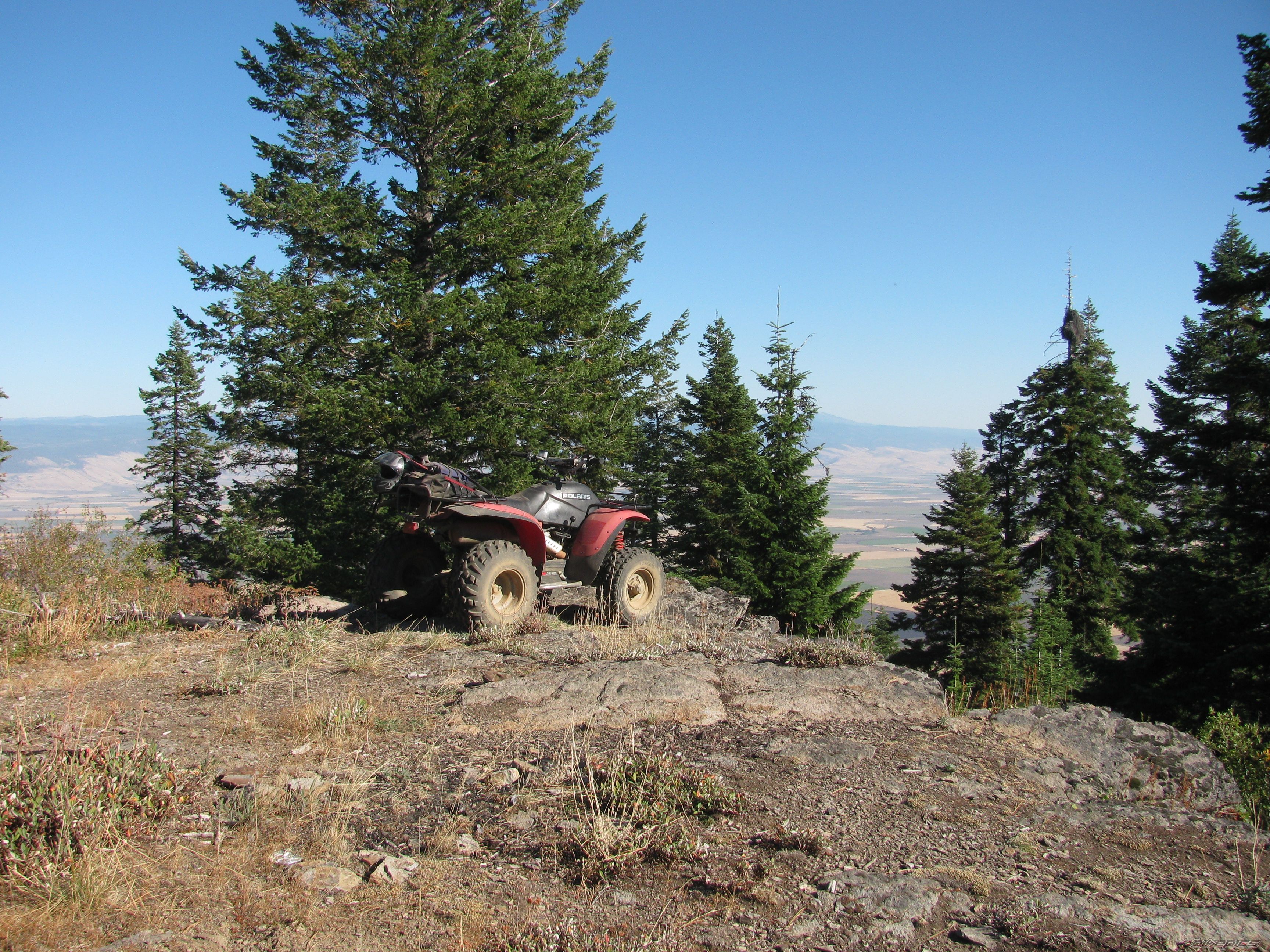 1987 POLARIS TRAIL BOSS 250 | Picture 2069725 motorcycle photo