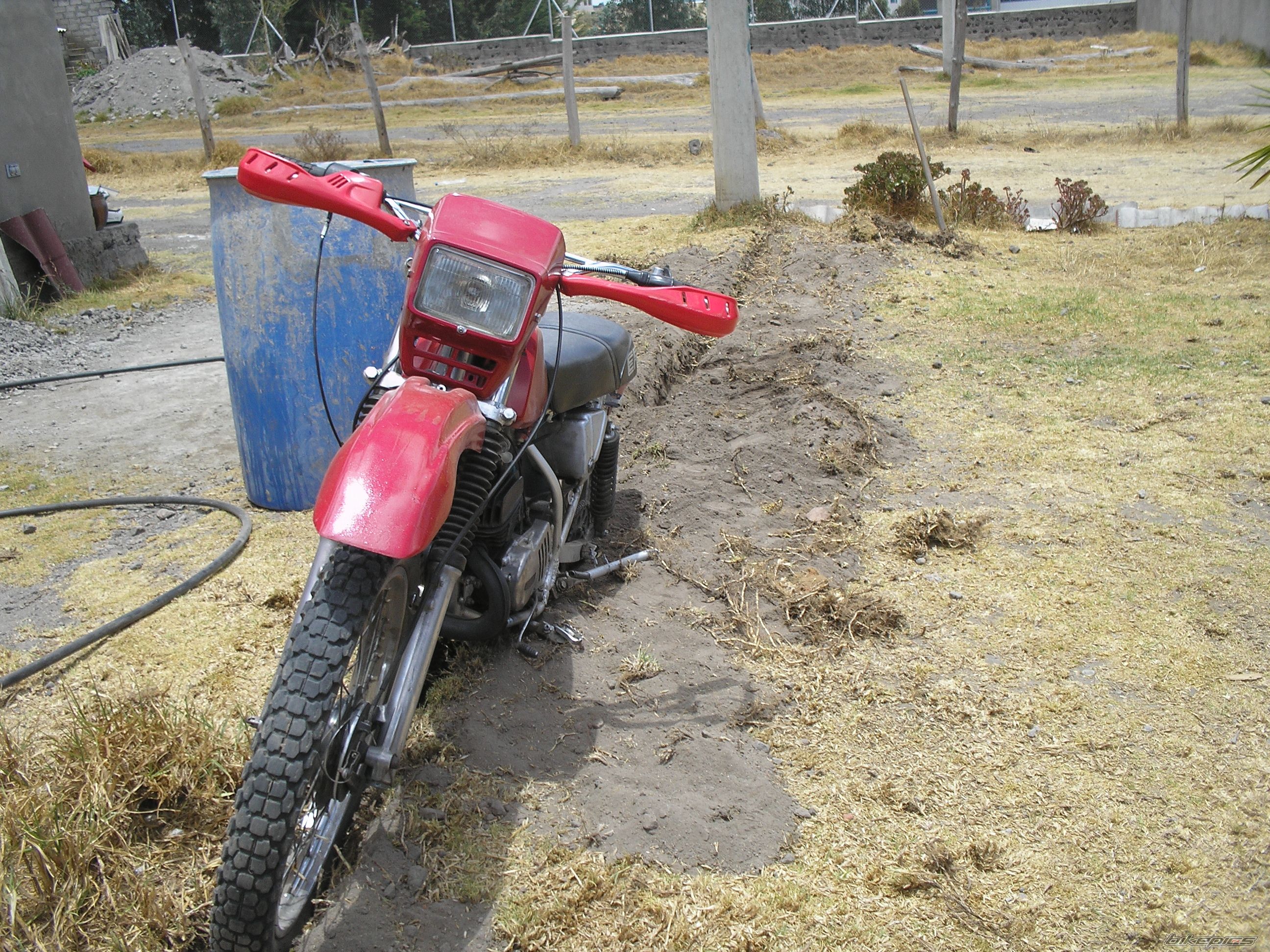 1979 SUZUKI TS 125 | Picture 2070156 motorcycle photo