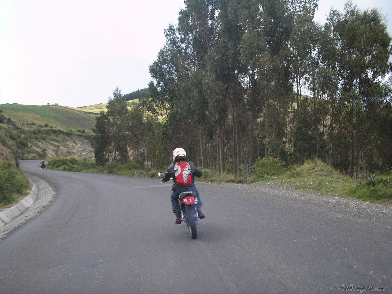 1979 SUZUKI TS 125 | Picture 2070169 motorcycle photo