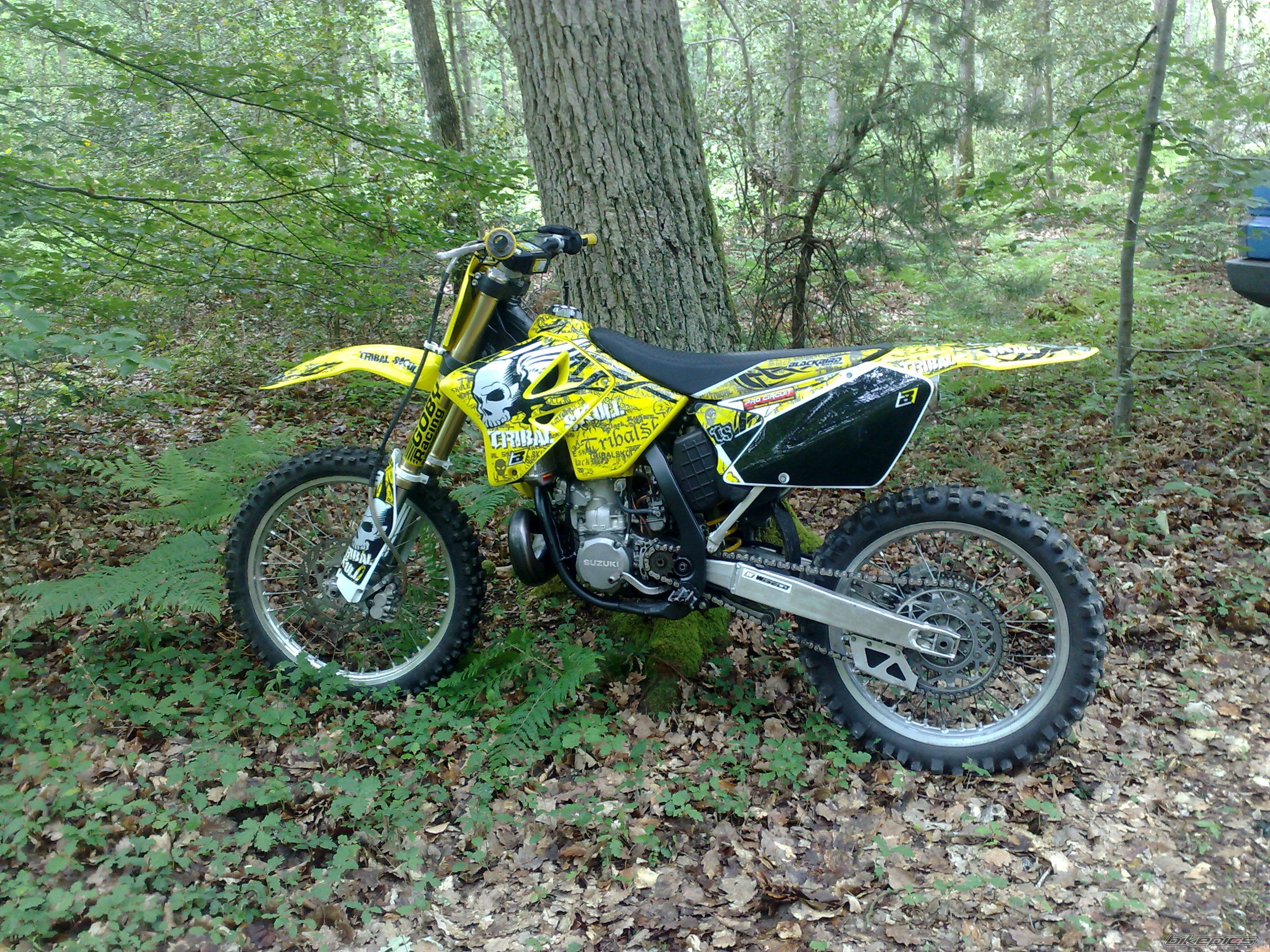 2005 SUZUKI RM 250 | Picture 2072112 motorcycle photo