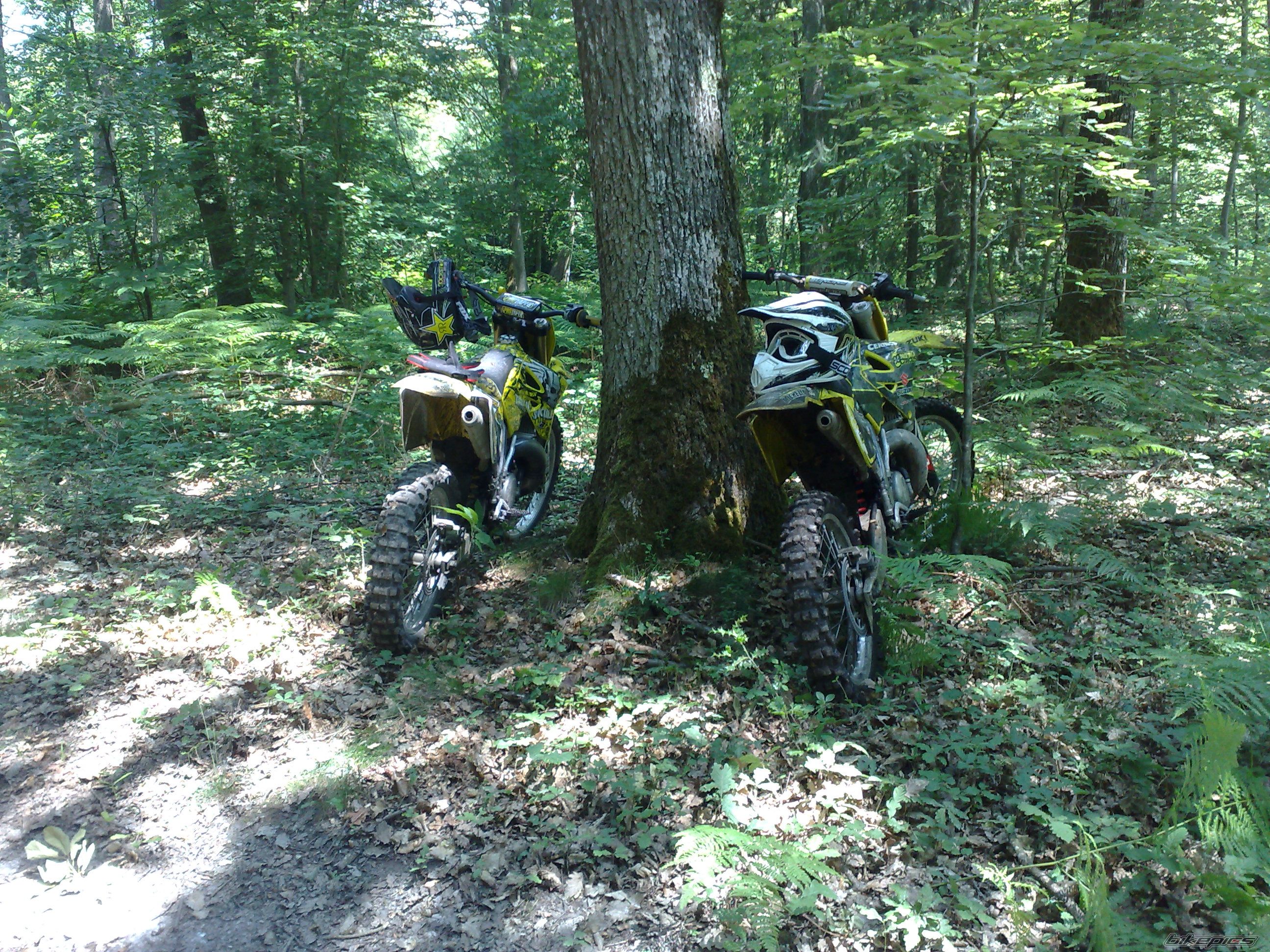 2005 SUZUKI RM 250 | Picture 2072129 motorcycle photo