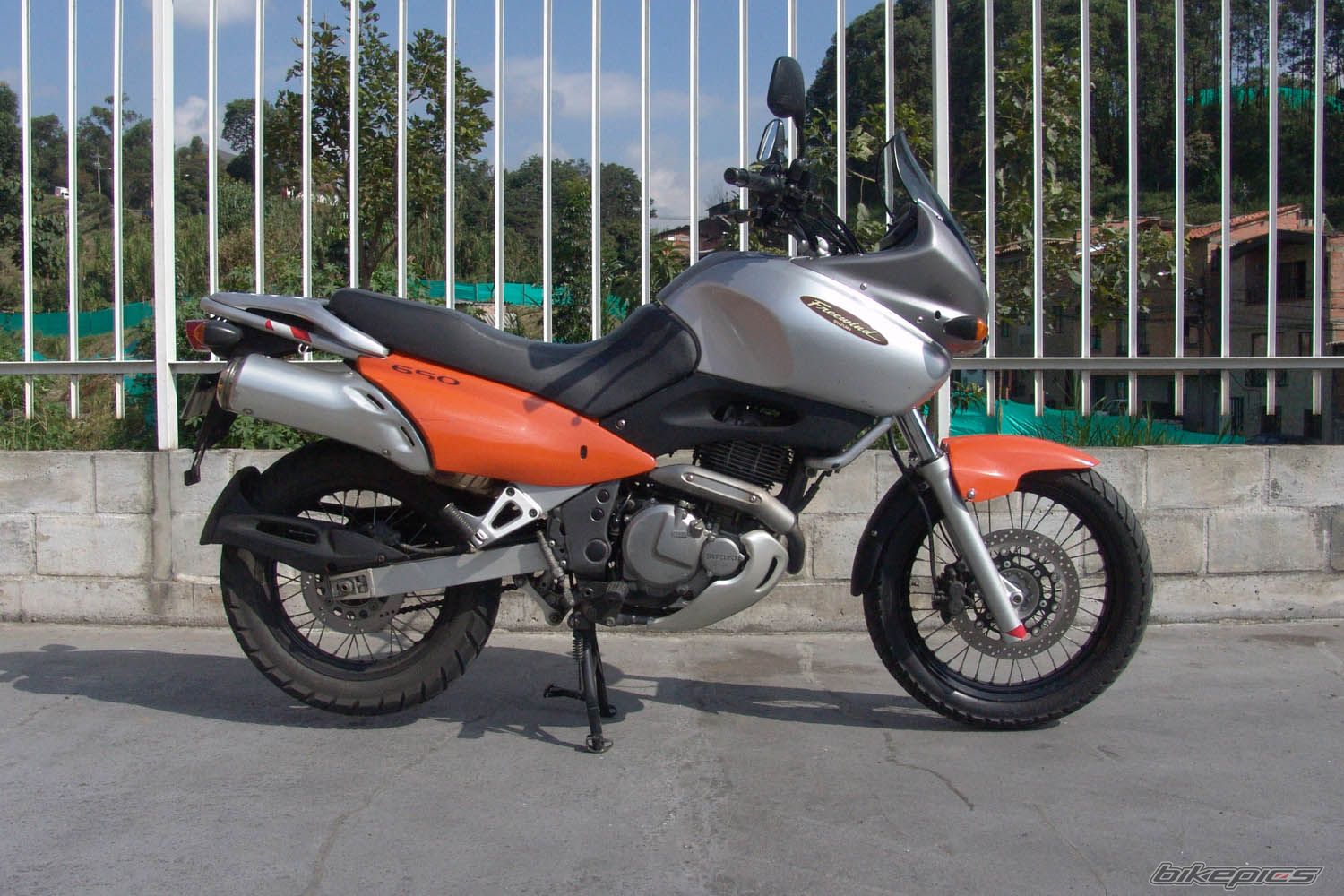 1999 SUZUKI XF 650 | Picture 2072608 motorcycle photo