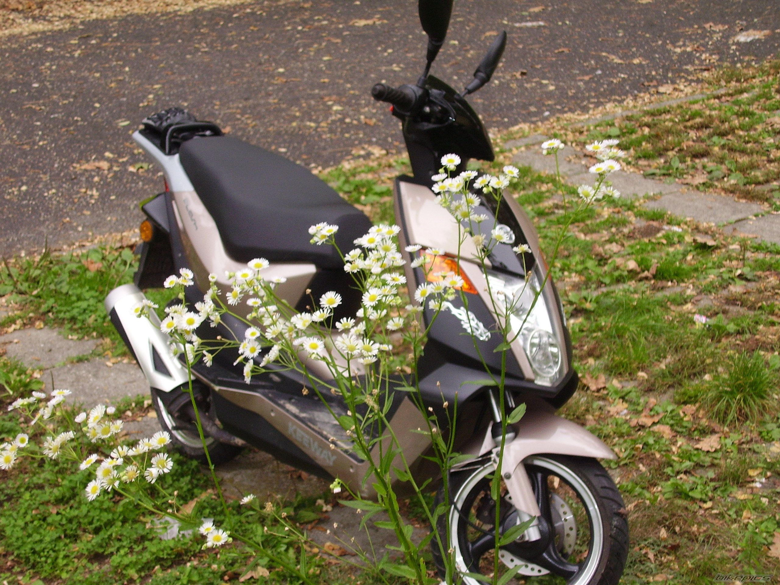 2006 KEEWAY FLASH | Picture 2073211 motorcycle photo