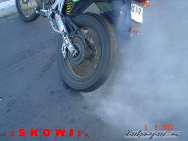 2005 DERBI SENDA R 50 | Picture 207345 motorcycle photo