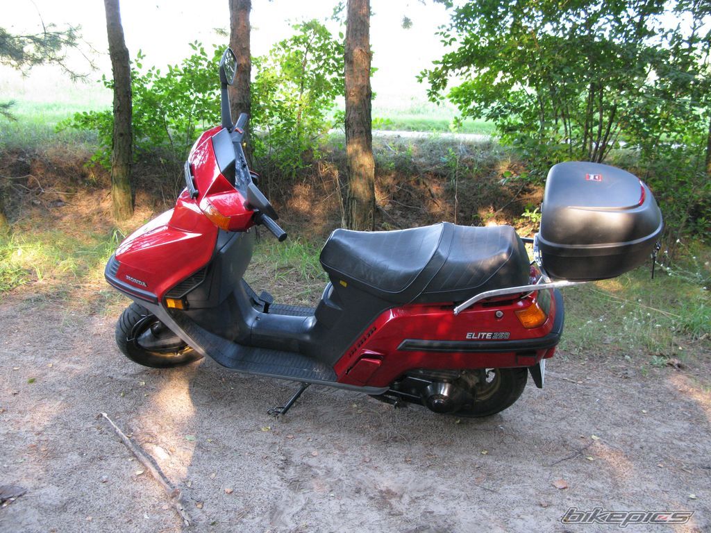 1987 HONDA ELITE | Picture 2073880 motorcycle photo