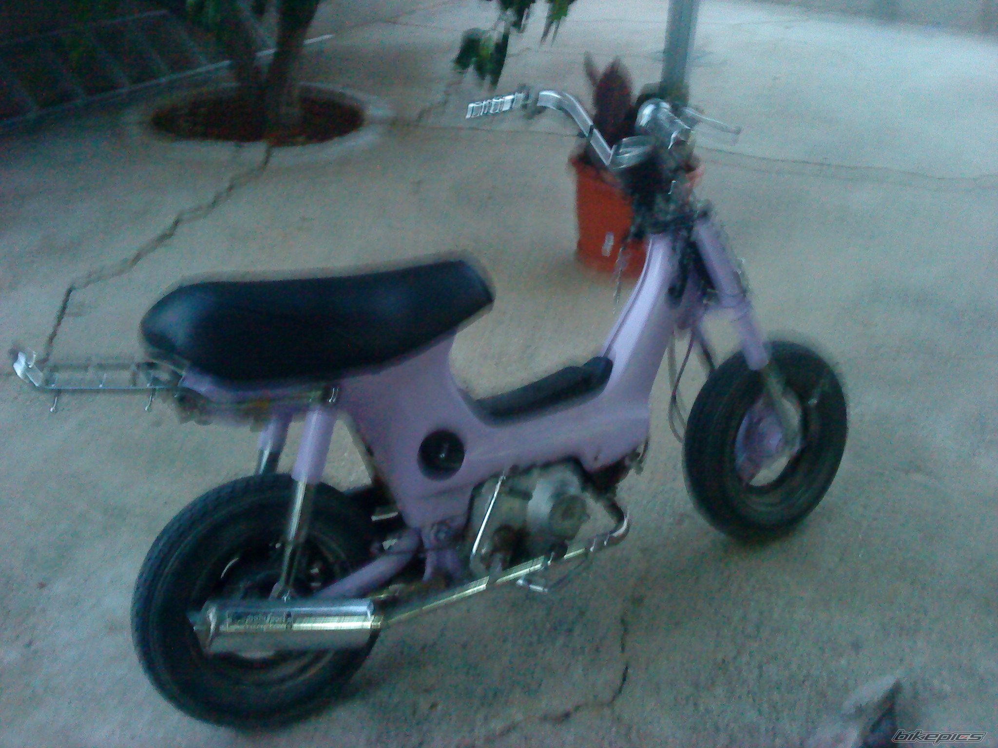 2010 HONDA CHALY | Picture 2074128 motorcycle photo