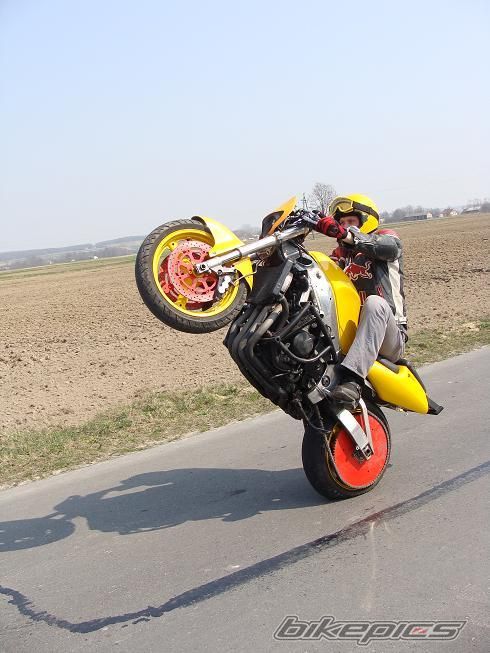    | Picture 2074202 motorcycle photo