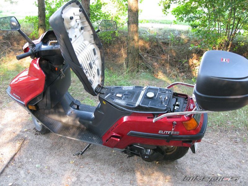1987 HONDA ELITE | Picture 2074299 motorcycle photo