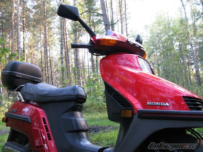 1987 HONDA ELITE | Picture 2074303 motorcycle photo