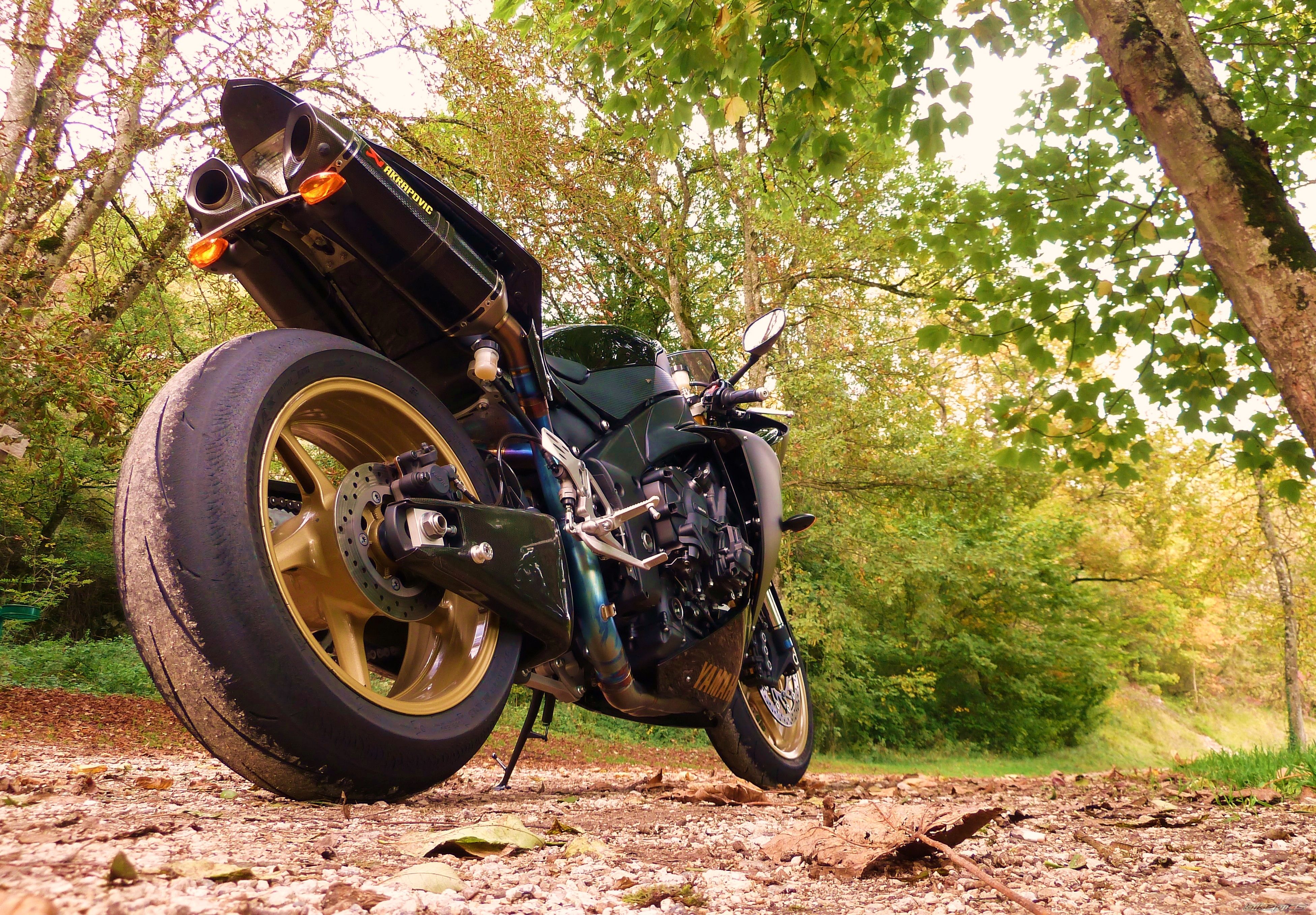 2009 YAMAHA YZF R1 | Picture 2074350 motorcycle photo