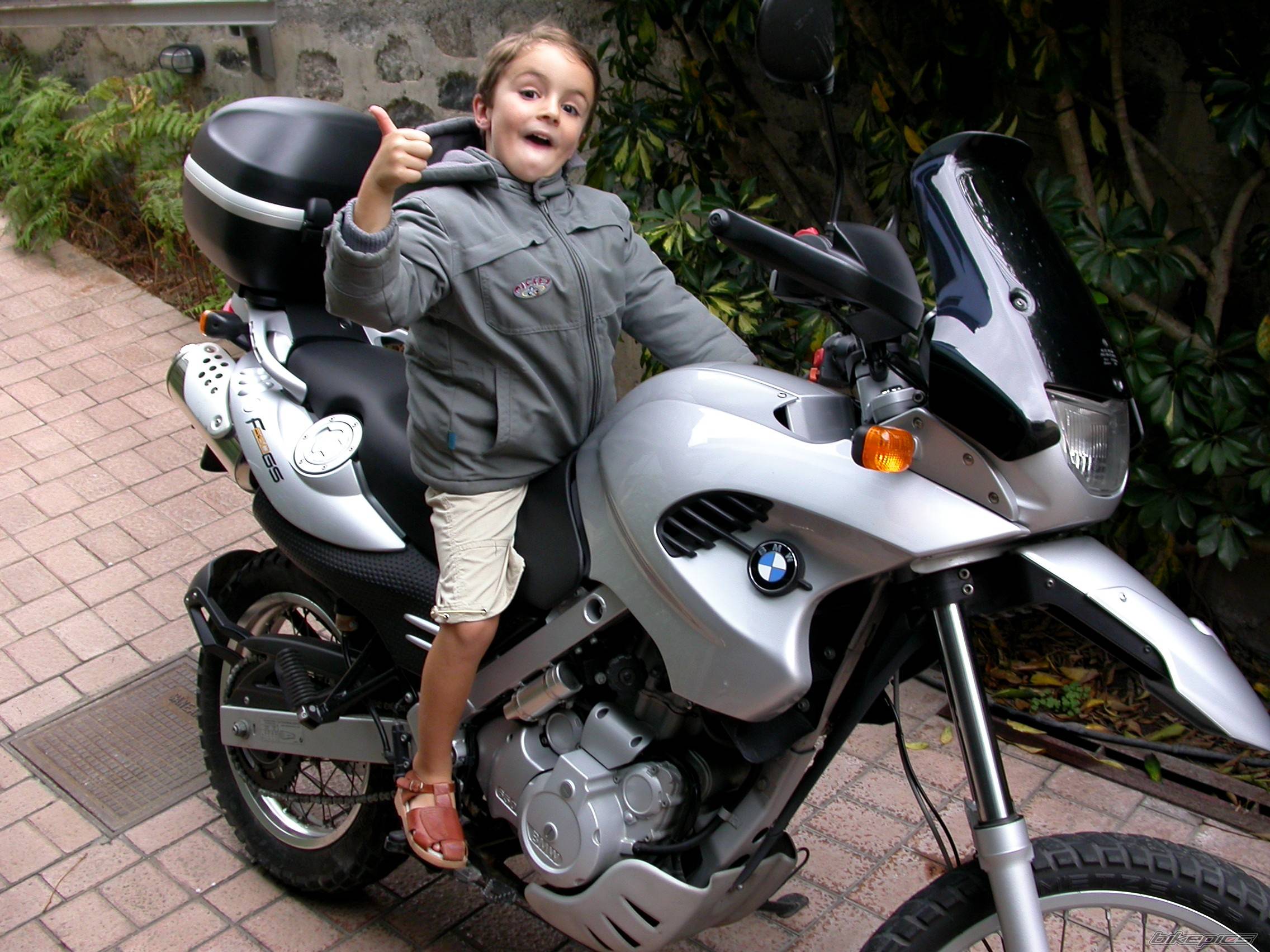 2003 BMW F 650 GS DAKAR | Picture 207448 motorcycle photo
