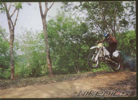 1998 YAMAHA WR 200 | Picture 207505 motorcycle photo