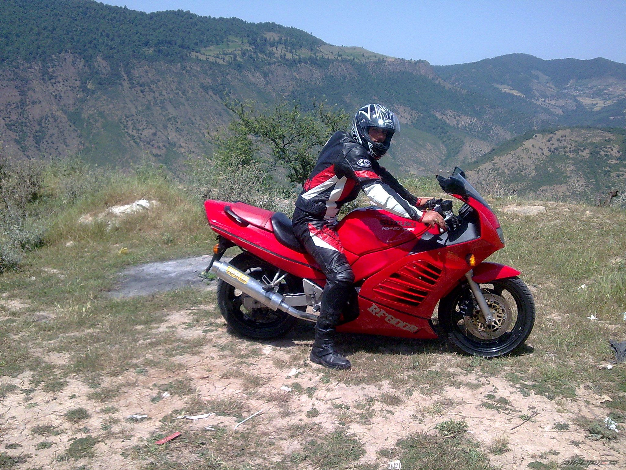 1999 SUZUKI RF 600 | Picture 2075177 motorcycle photo