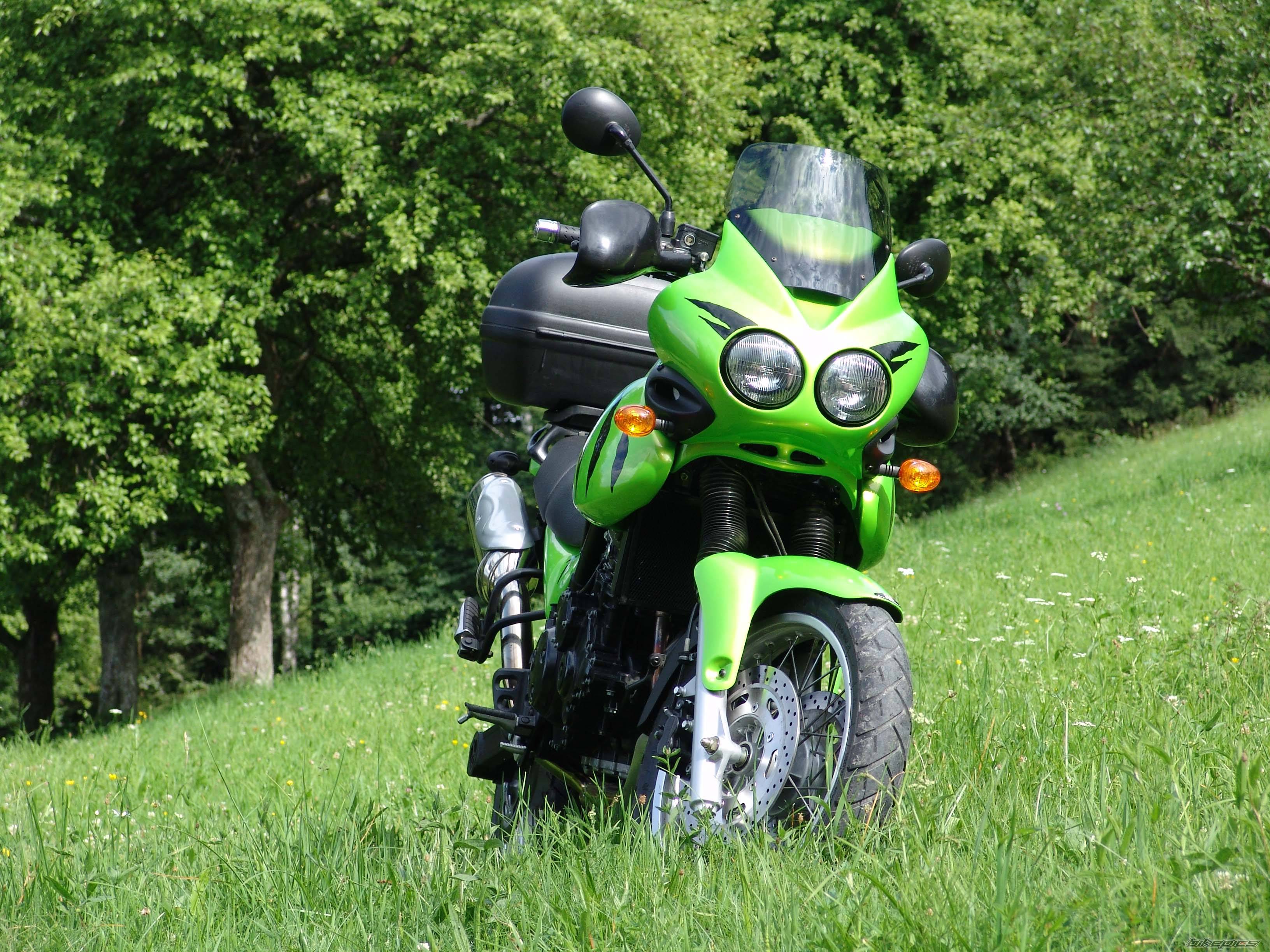2001 TRIUMPH TIGER | Picture 207527 motorcycle photo
