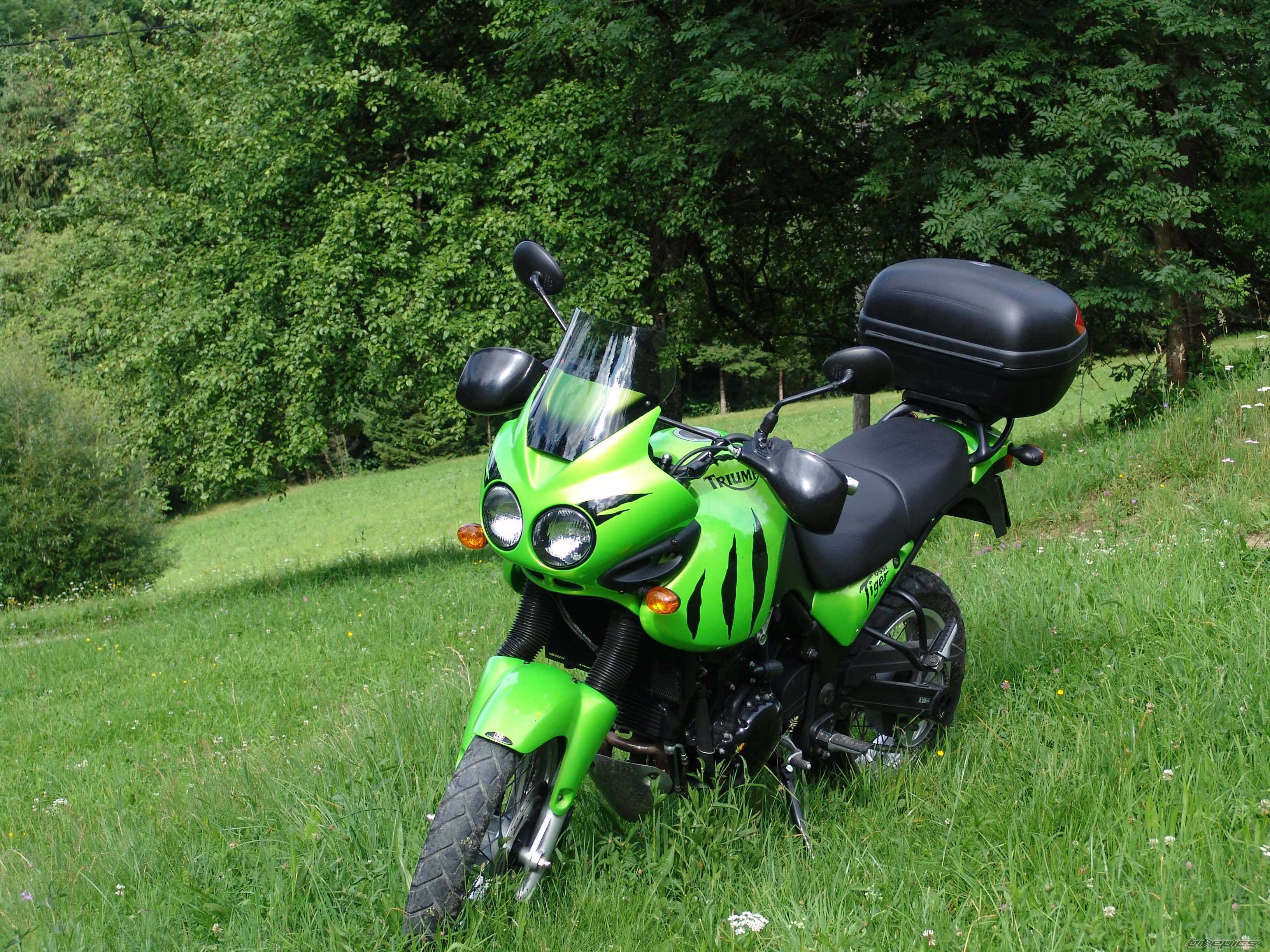 2001 TRIUMPH TIGER | Picture 207537 motorcycle photo