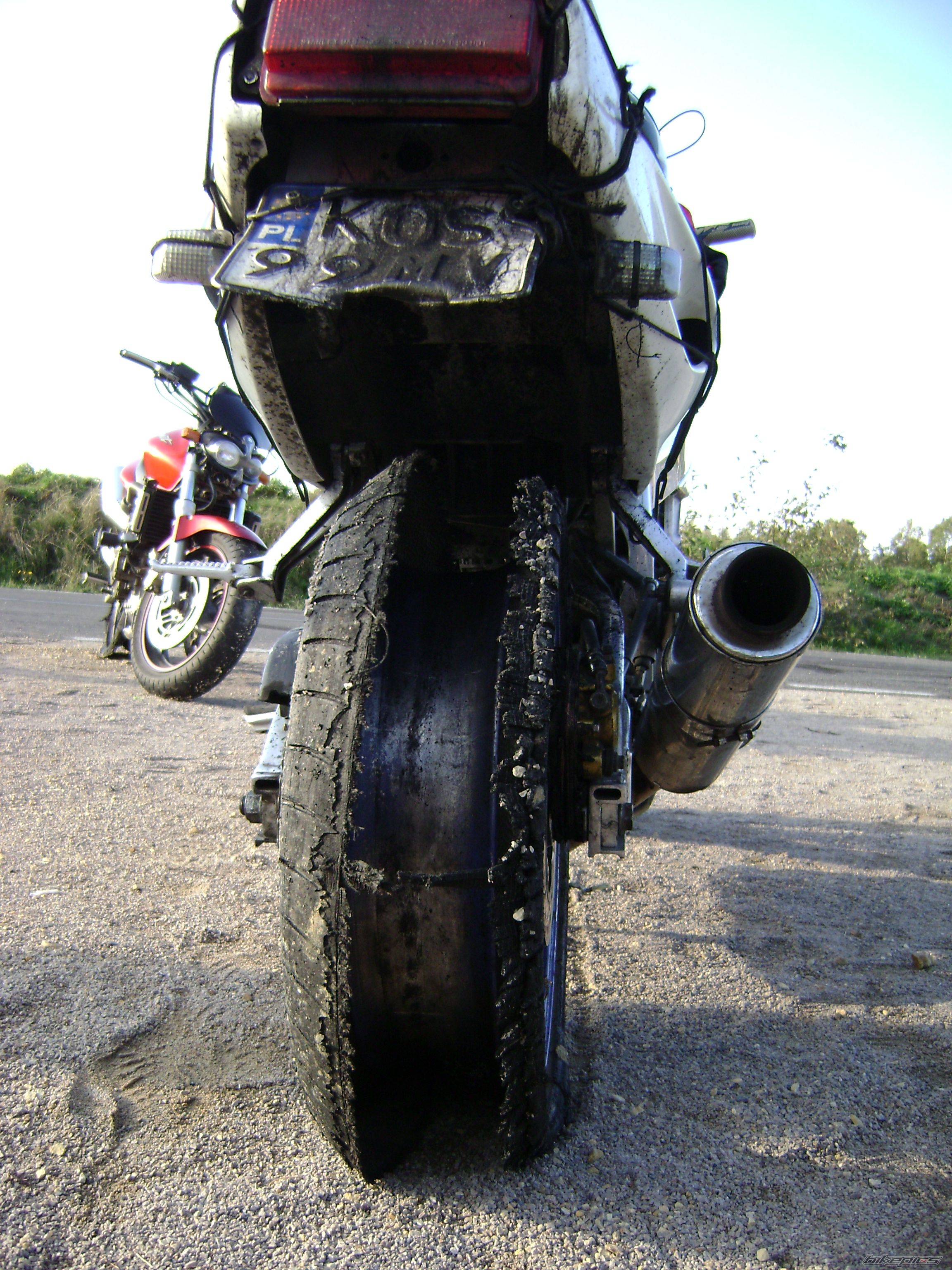 1999 HONDA CBR 900 | Picture 2075409 motorcycle photo