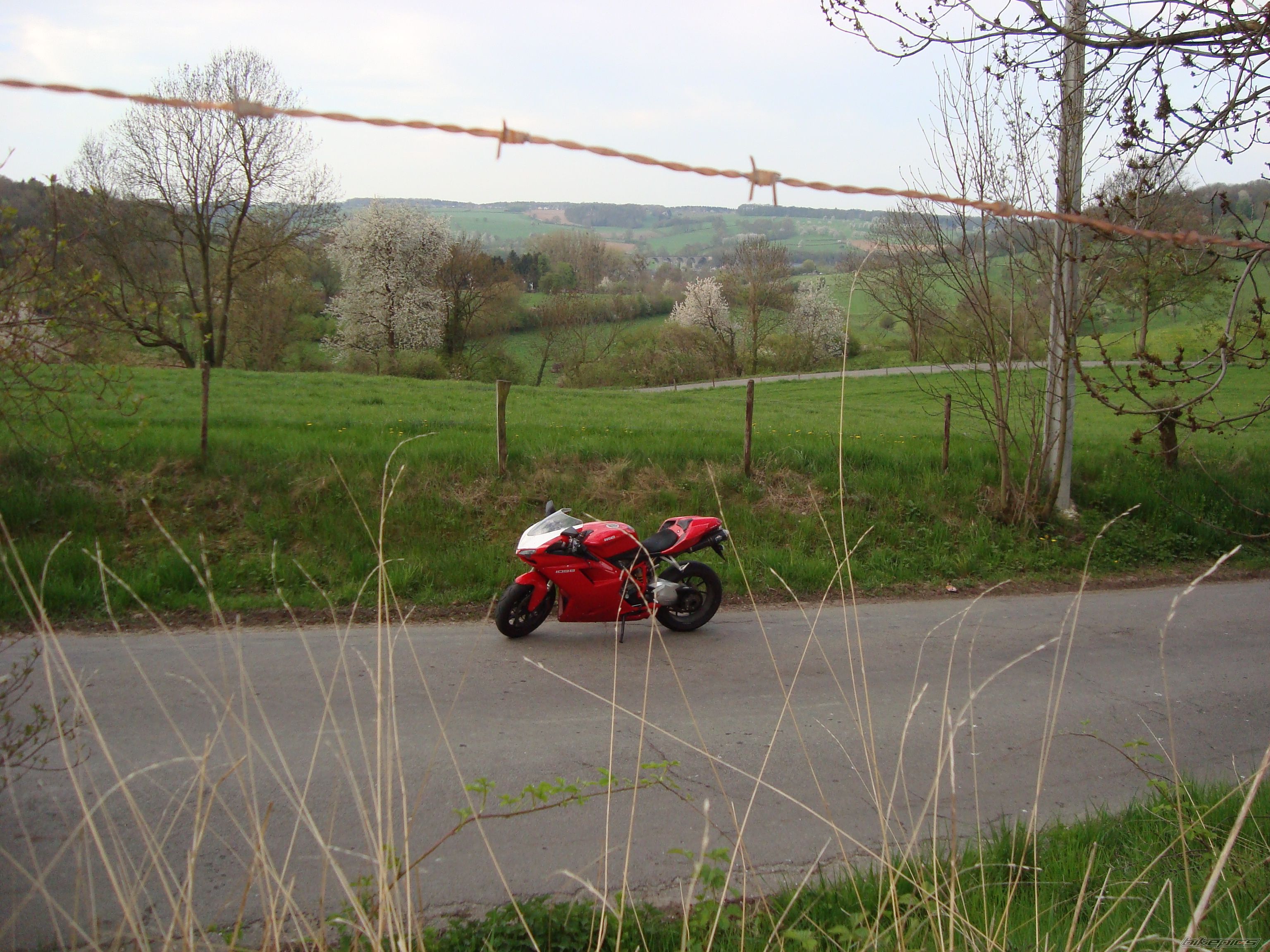 2007 DUCATI 1098 | Picture 2076118 motorcycle photo