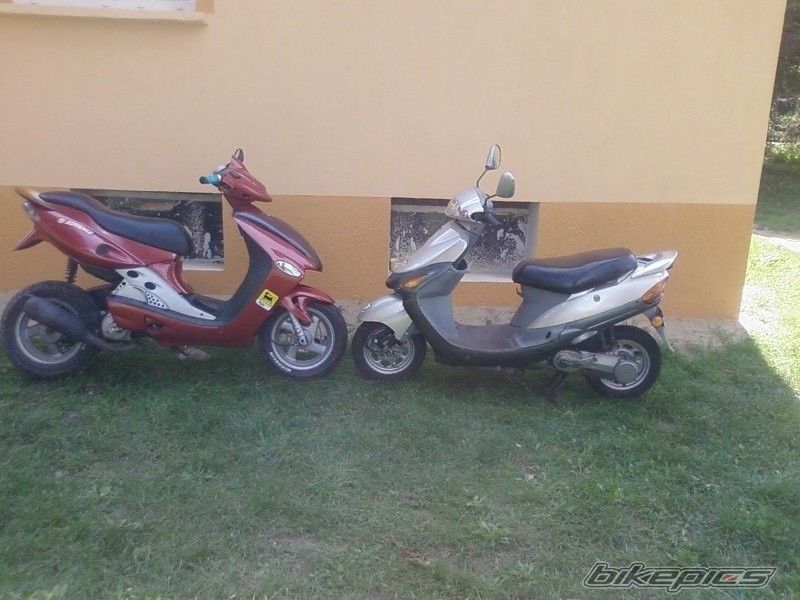 2002 MALAGUTI FIREFOX 50 F15 | Picture 2076244 motorcycle photo