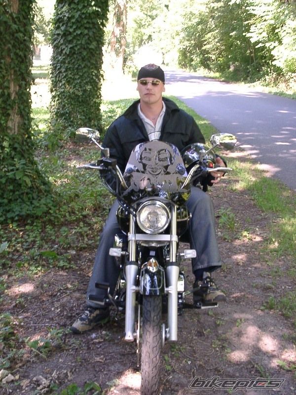 2002 YAMAHA XVS 125 DRAGSTAR | Picture 2076299 motorcycle photo