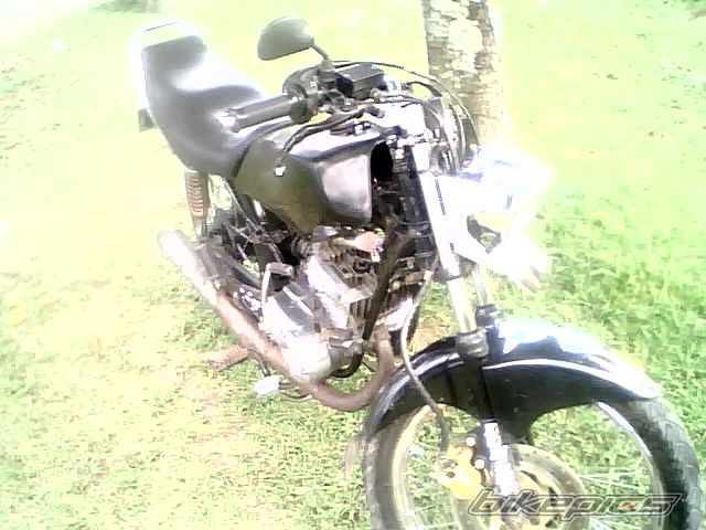 1995 YAMAHA RX KING | Picture 2076393 motorcycle photo