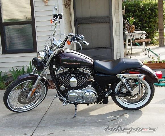 2006 HARLEY DAVIDSON XL 1200 C | Picture 2076688 motorcycle photo