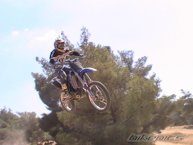 2004 YAMAHA YZ 450F | Picture 2077375 motorcycle photo
