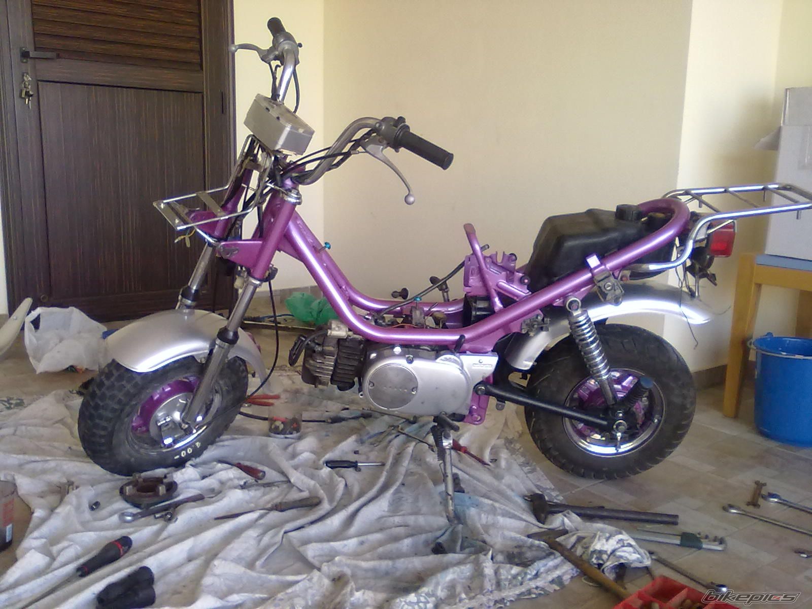 2010 YAMAHA LB 50 CHAPPY | Picture 2077390 motorcycle photo
