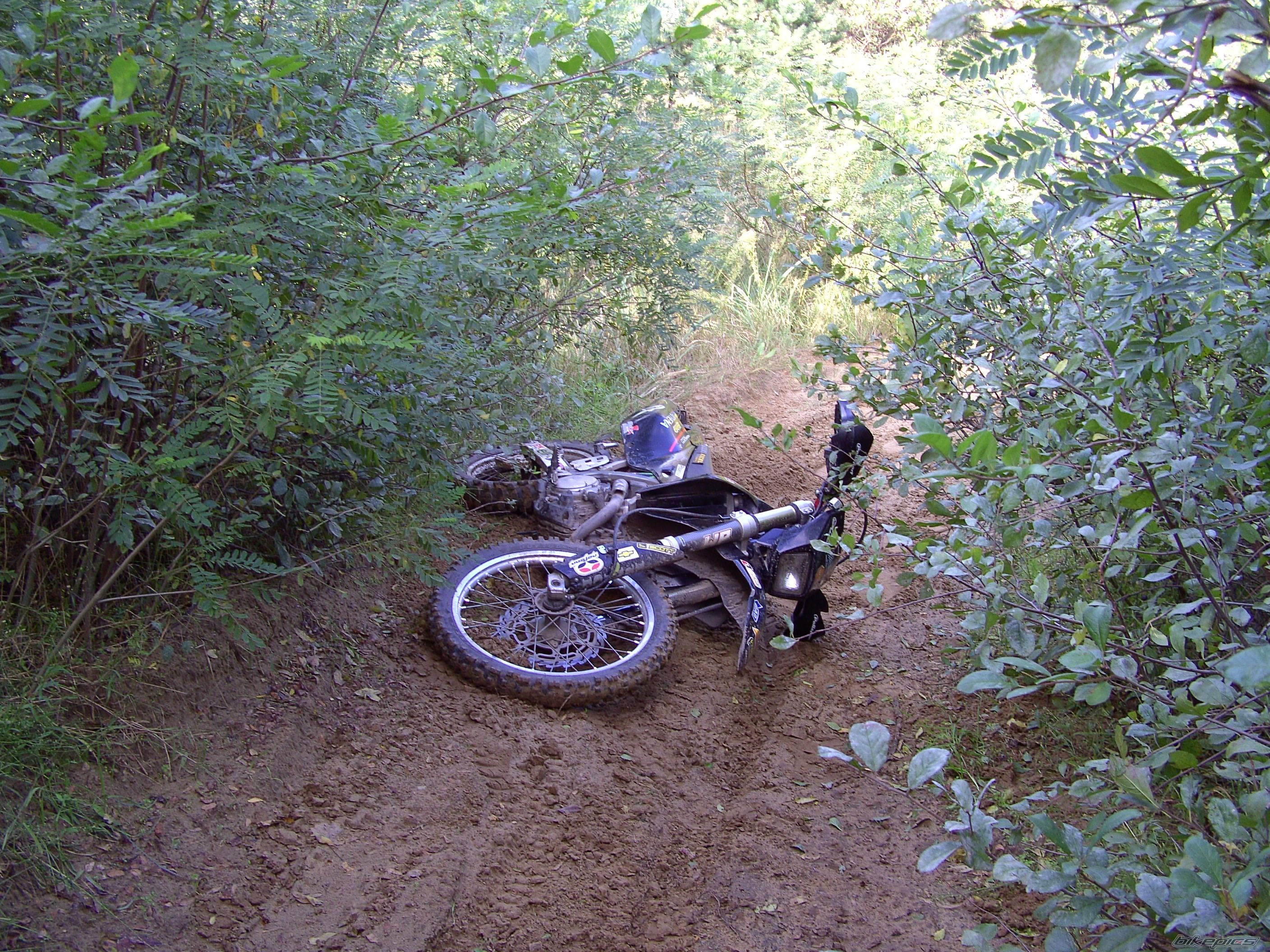 2005 SUZUKI DRZ 400 | Picture 2077708 motorcycle photo