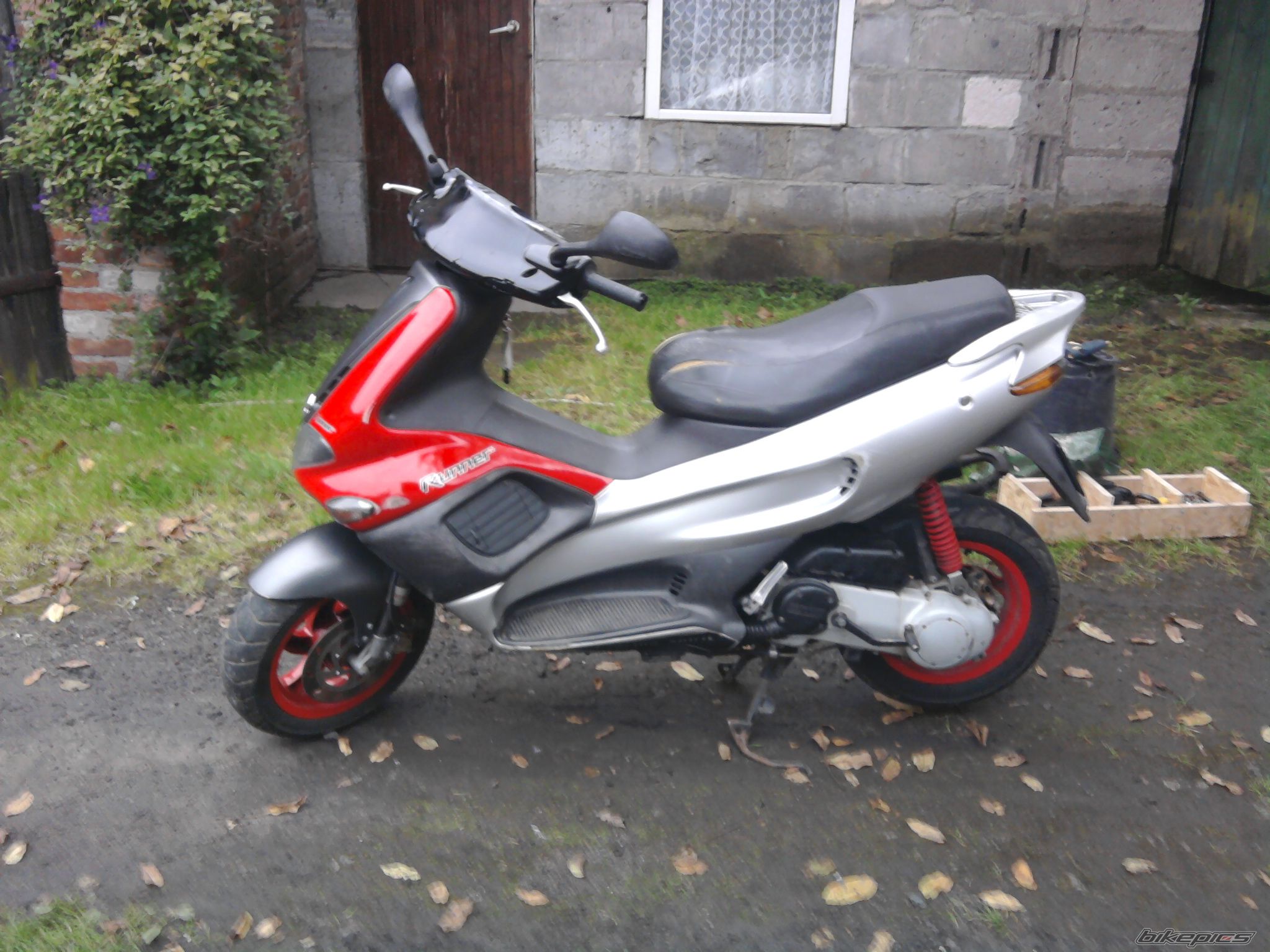 2008 DM MINIBIKE | Picture 2078667 motorcycle photo
