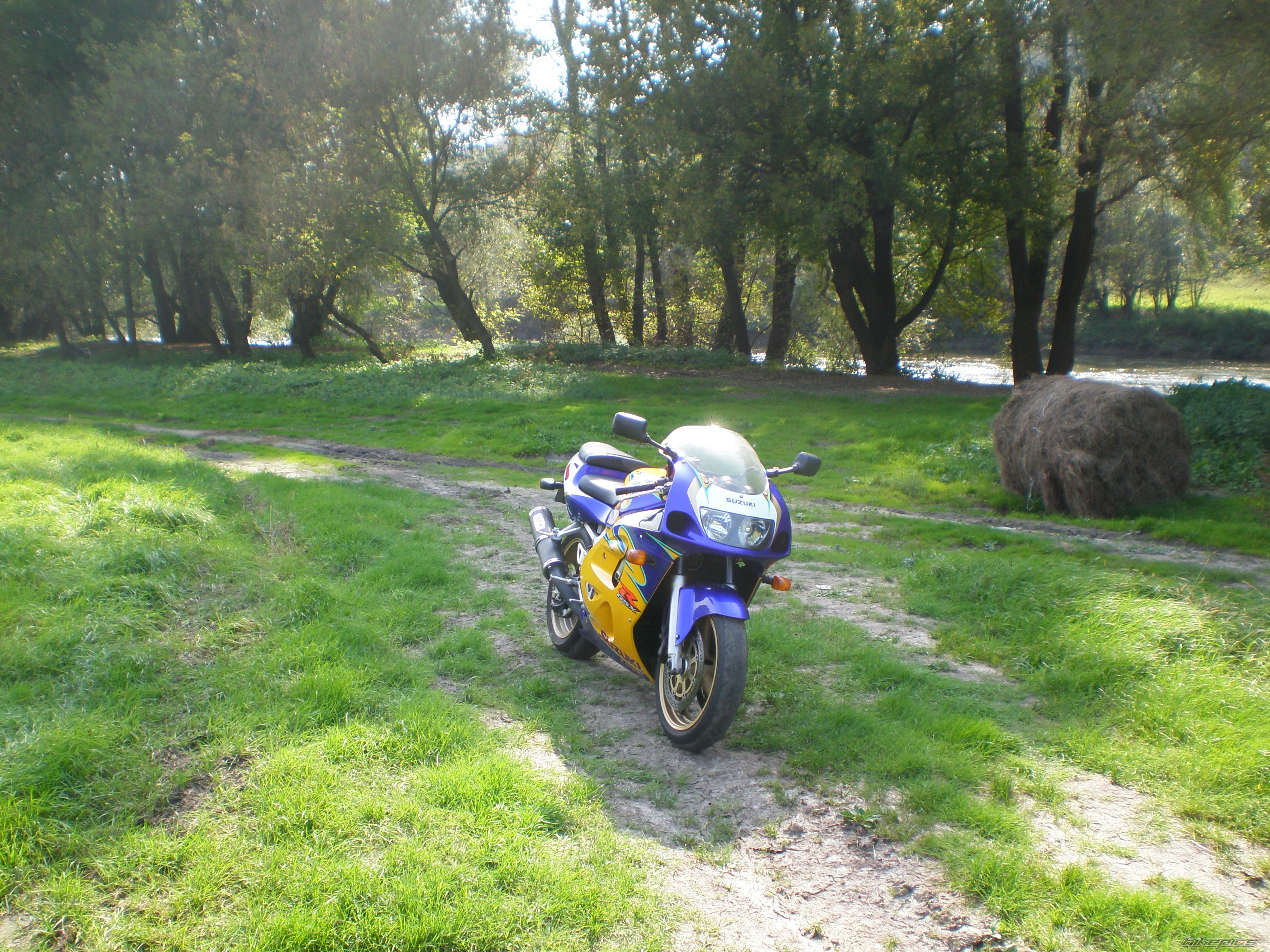 2000 SUZUKI GSX R 600 | Picture 2078902 motorcycle photo