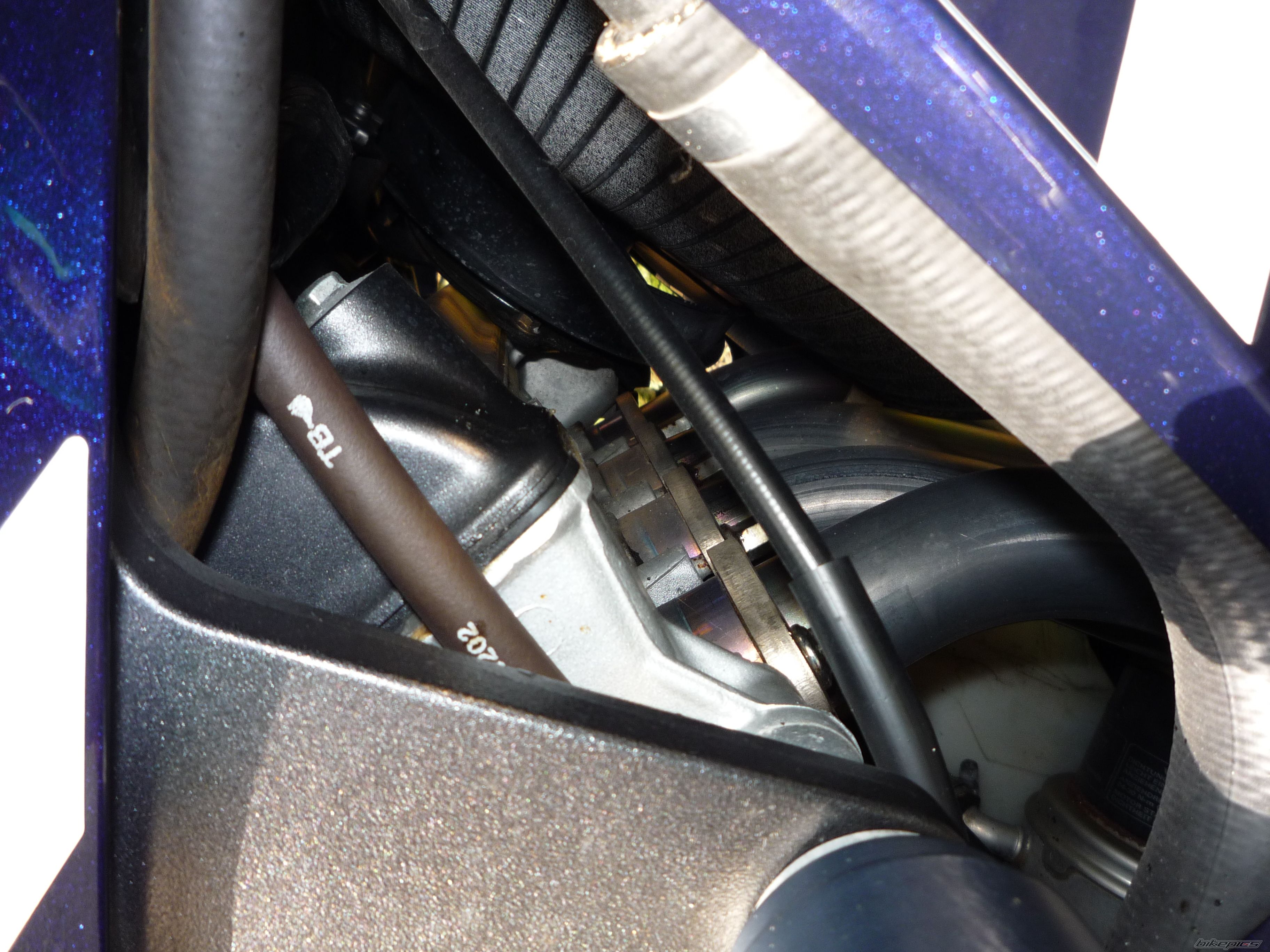 2002 HONDA CBR 900 | Picture 2078941 motorcycle photo