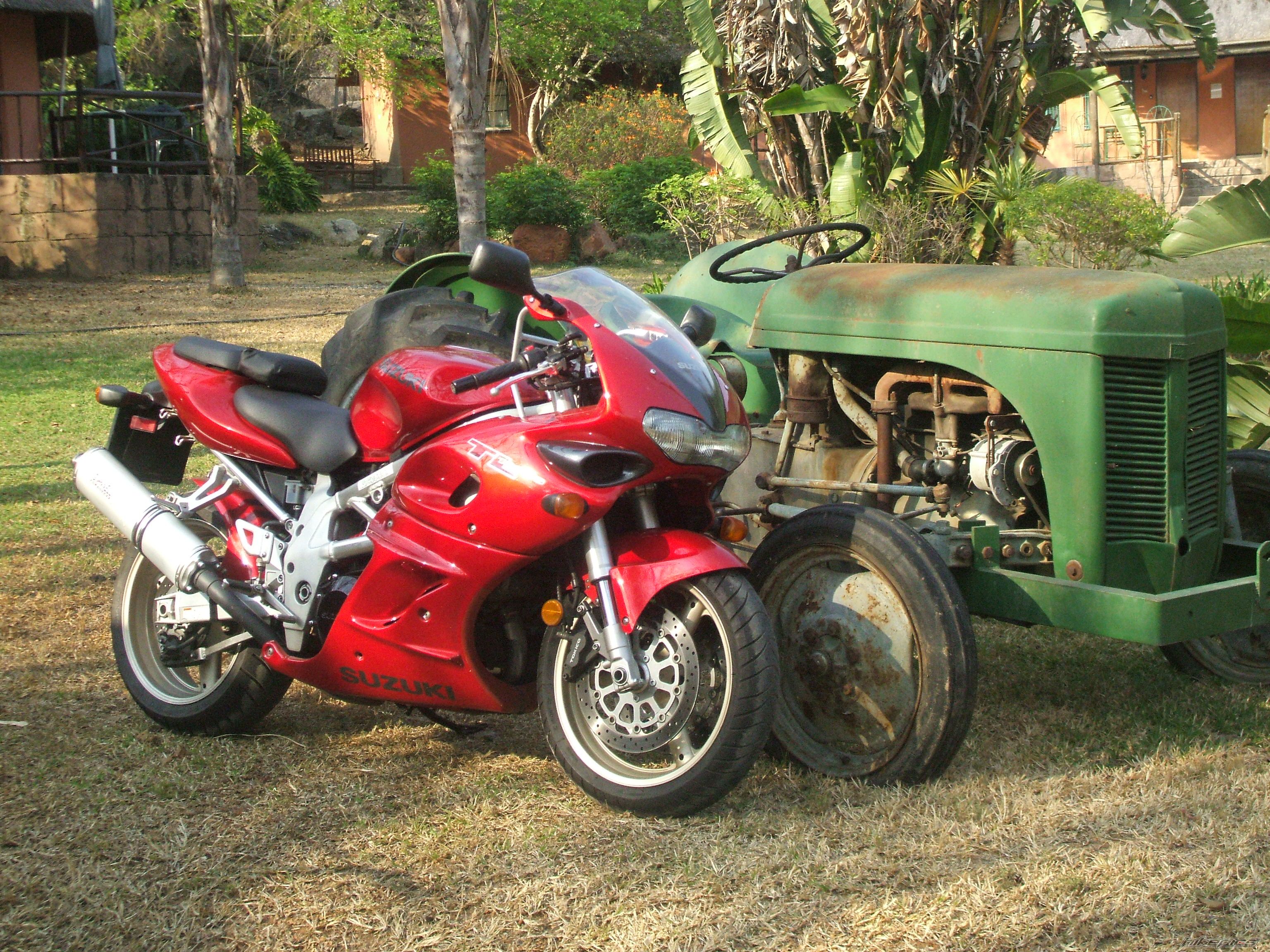 2000 SUZUKI TL1000S | Picture 2079118 motorcycle photo