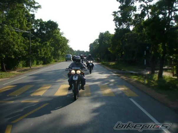 1999 HONDA XR 250 BAJA | Picture 2079571 motorcycle photo