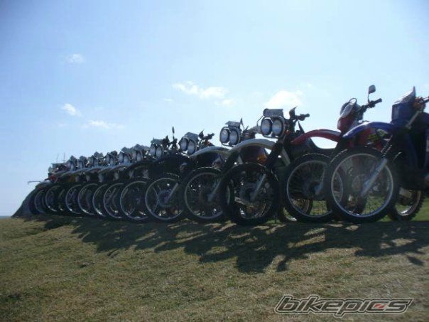 1999 HONDA XR 250 BAJA | Picture 2079575 motorcycle photo