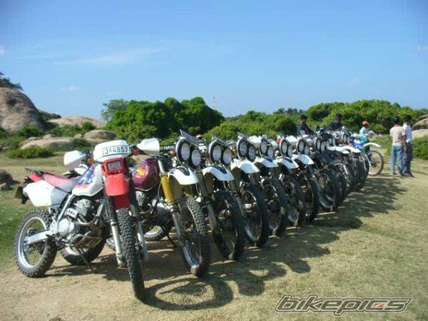 1999 HONDA XR 250 BAJA | Picture 2079577 motorcycle photo
