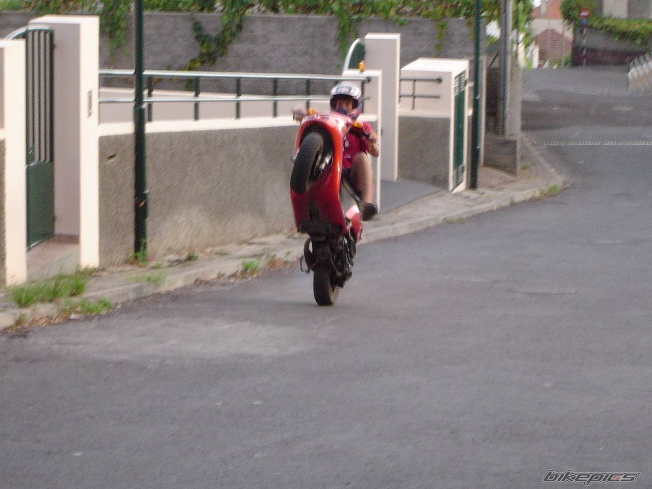1998 PIAGGIO NTT 50 | Picture 207968 motorcycle photo