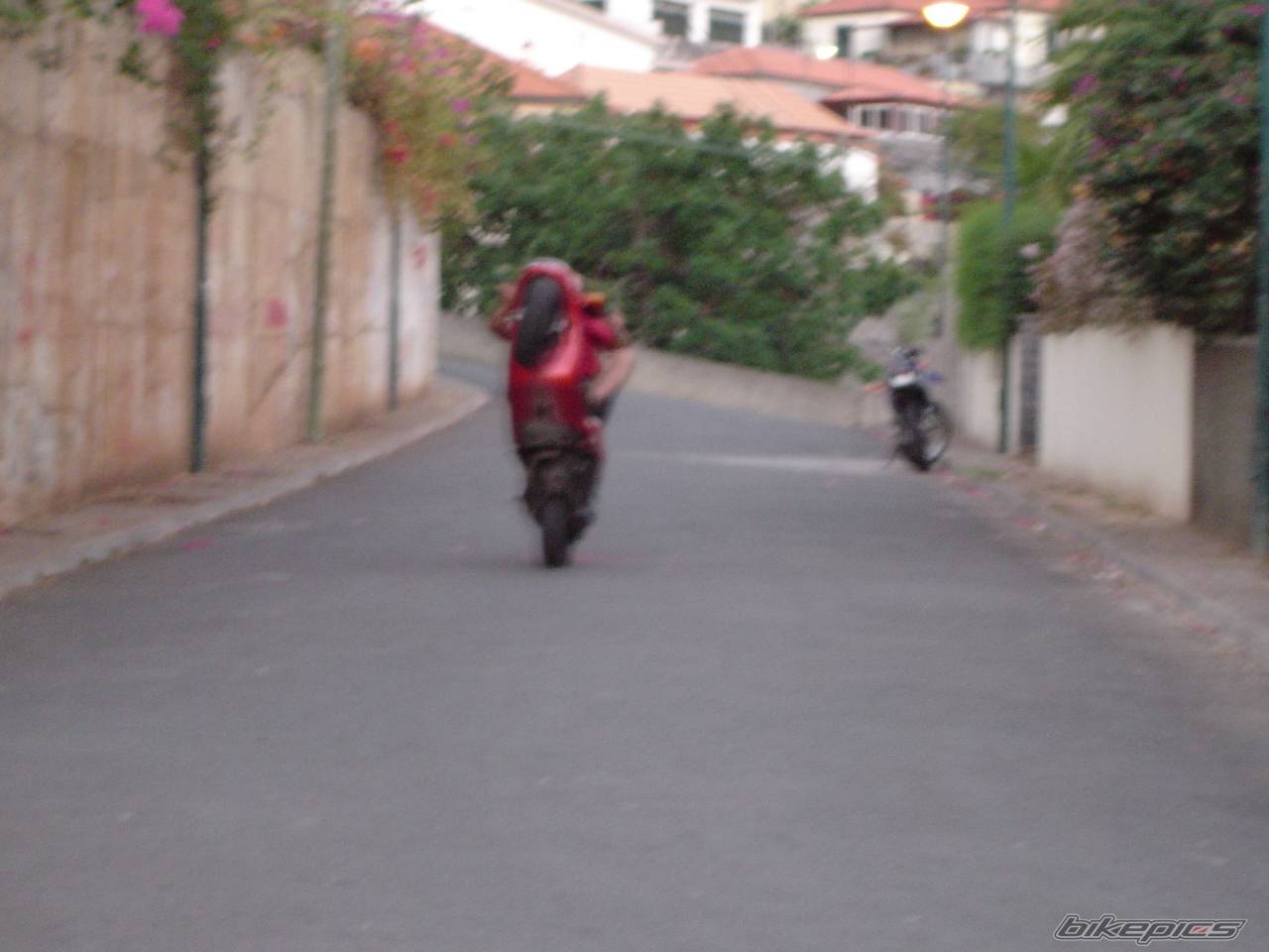 1998 PIAGGIO NTT 50 | Picture 207972 motorcycle photo