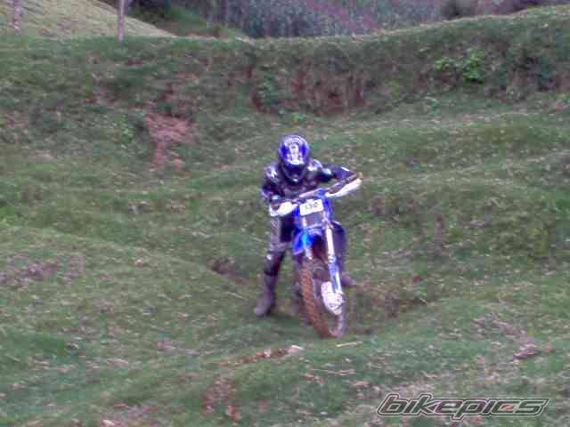 1998 YAMAHA WR 250 | Picture 207979 motorcycle photo