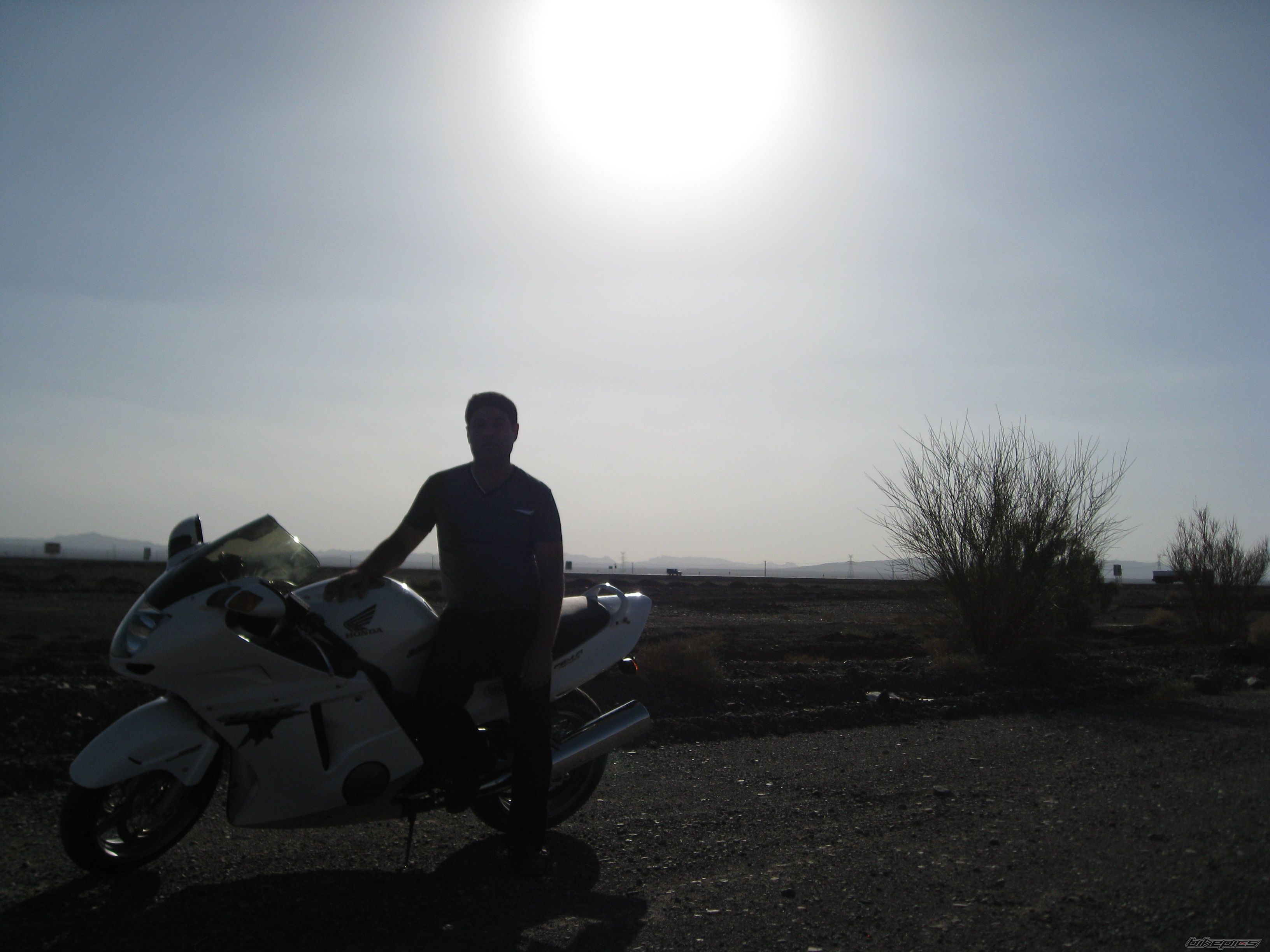 2010 HONDA CBR 1100 BLACKBIRD | Picture 2080440 motorcycle photo