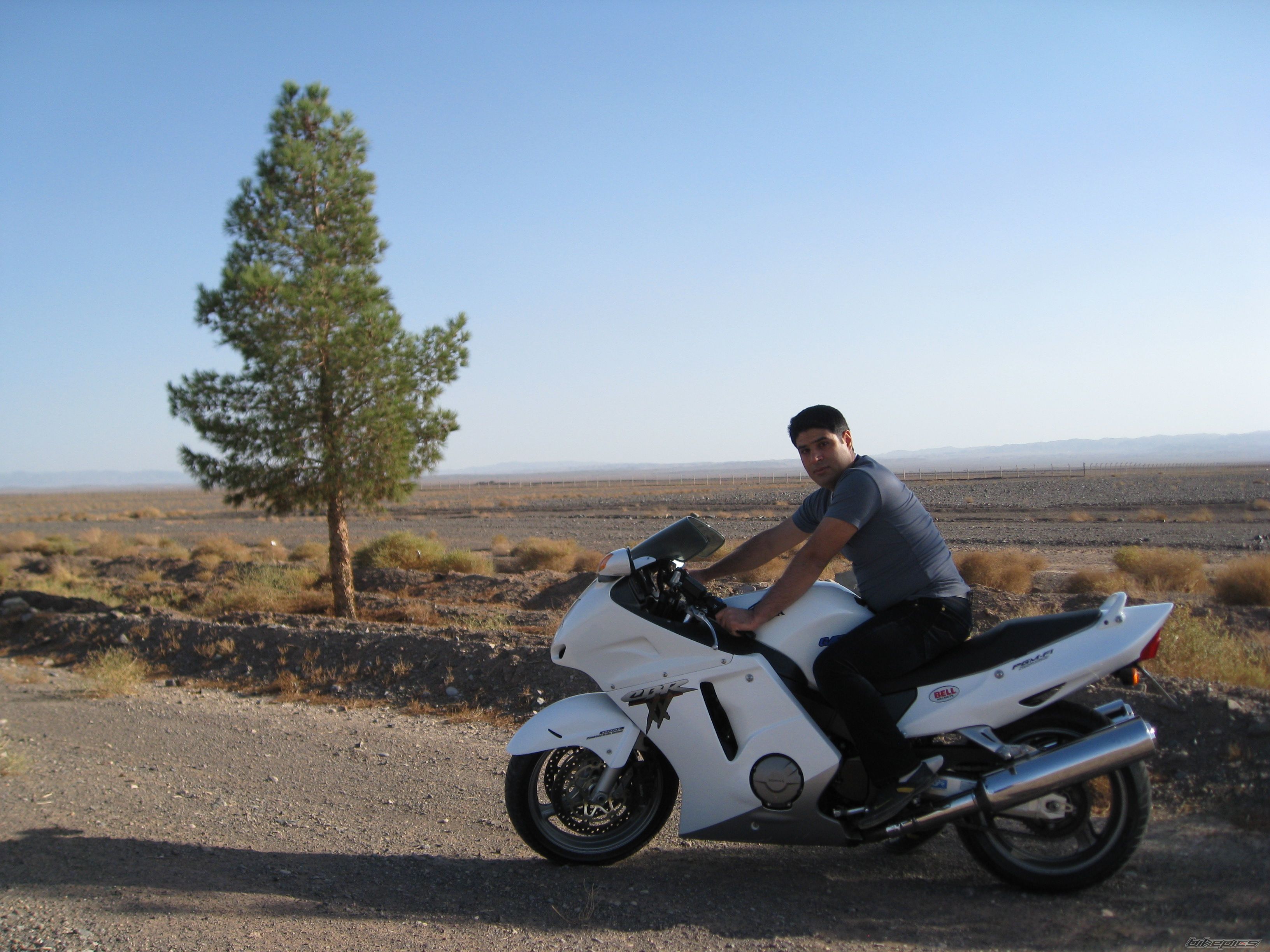 2010 HONDA CBR 1100 BLACKBIRD | Picture 2080445 motorcycle photo