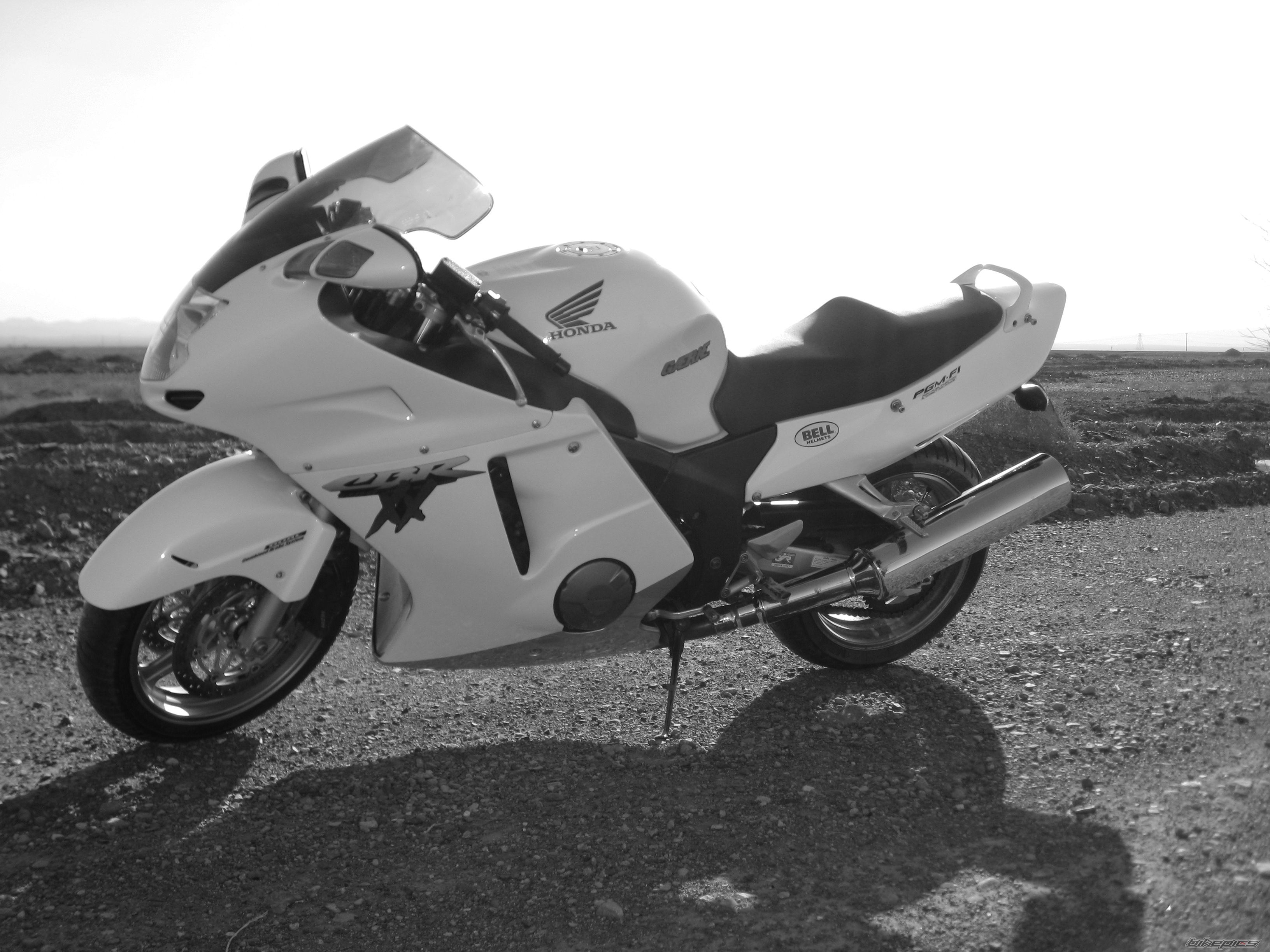 2010 HONDA CBR 1100 BLACKBIRD | Picture 2080457 motorcycle photo