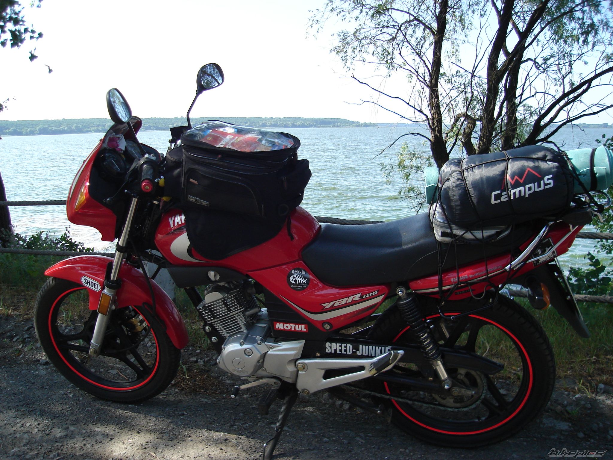 2007 YAMAHA YBR 125 | Picture 2080548 motorcycle photo