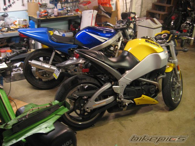 2003 BUELL XB9S LIGHTNING | Picture 2080626 motorcycle photo