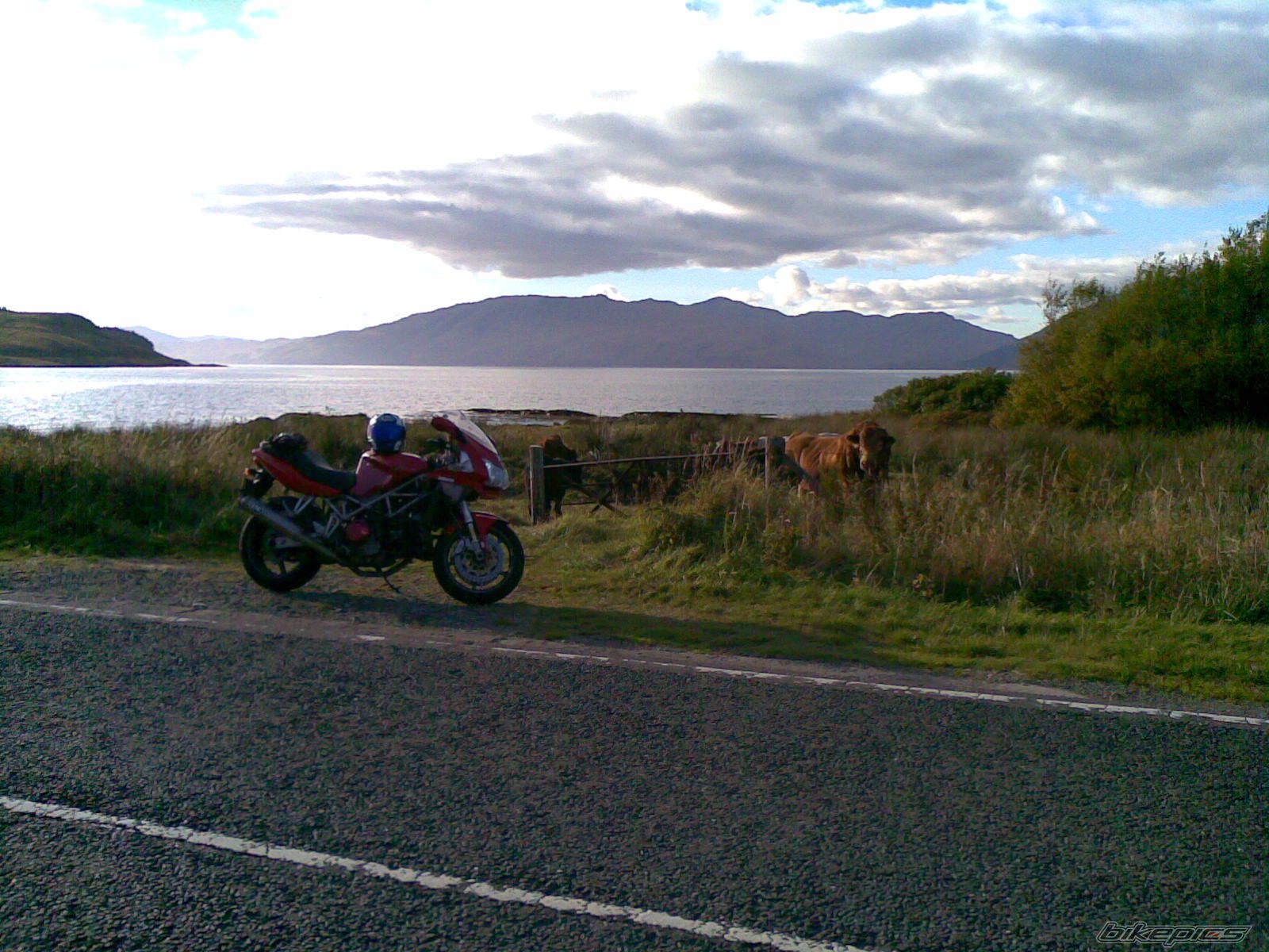 2004 DUCATI ST4S | Picture 2080889 motorcycle photo