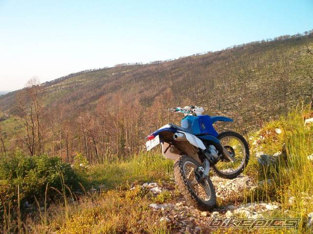 1997 YAMAHA DT 125 | Picture 208097 motorcycle photo