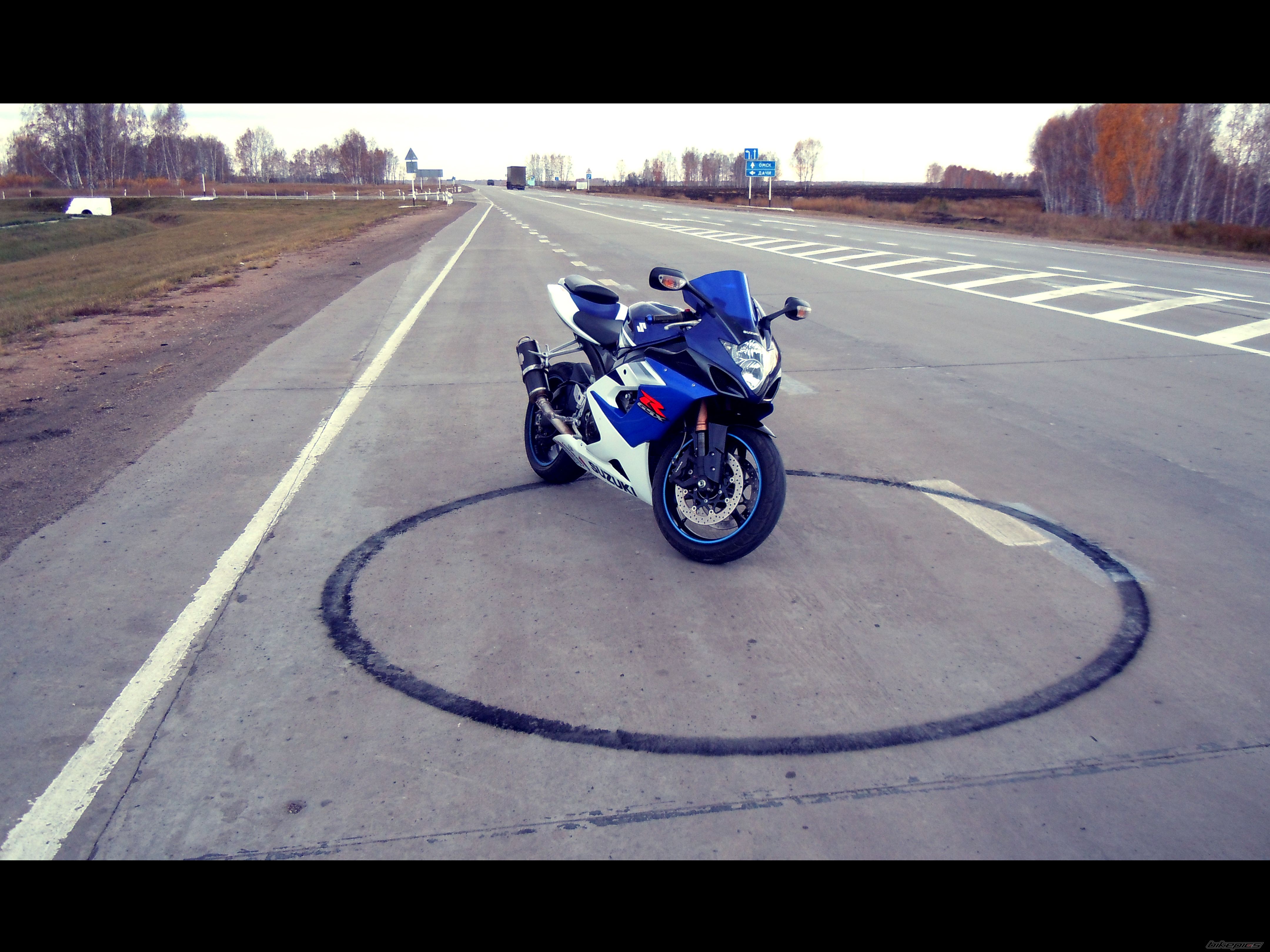 2005 SUZUKI GSX R 1000 | Picture 2080986 motorcycle photo
